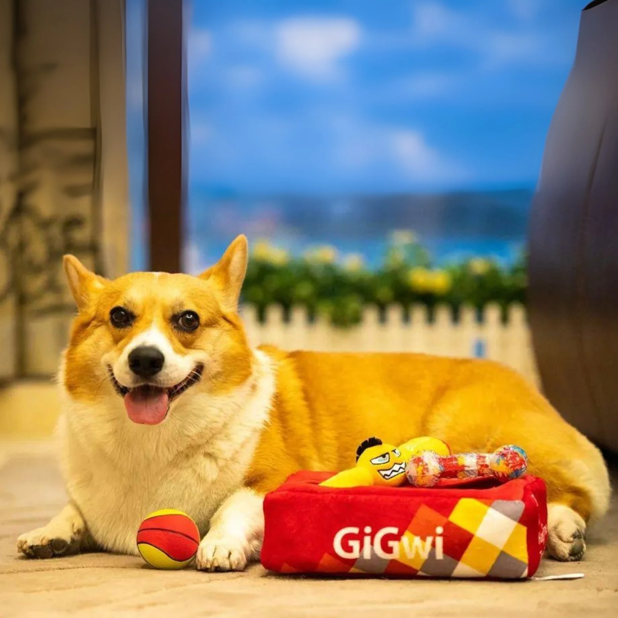 Juguete para perro GIGWI Hide N' Seek G-Box - Image 3