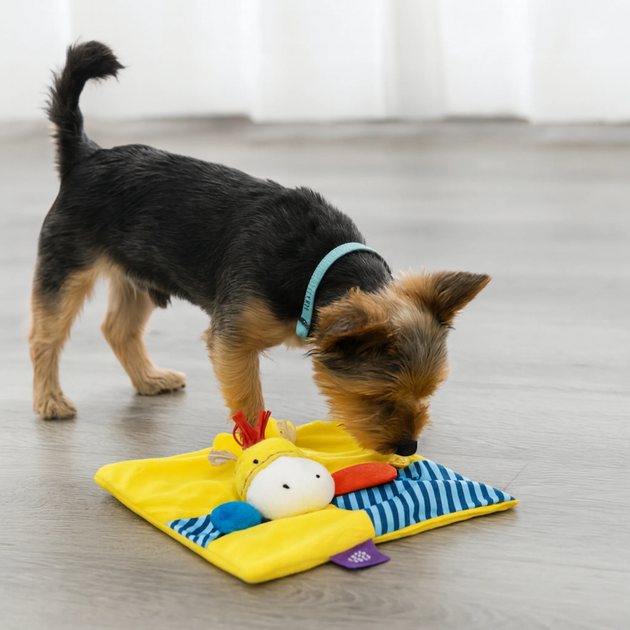 Juguete para perro GIGWI Suppa Puppa Mini Rug - Image 3