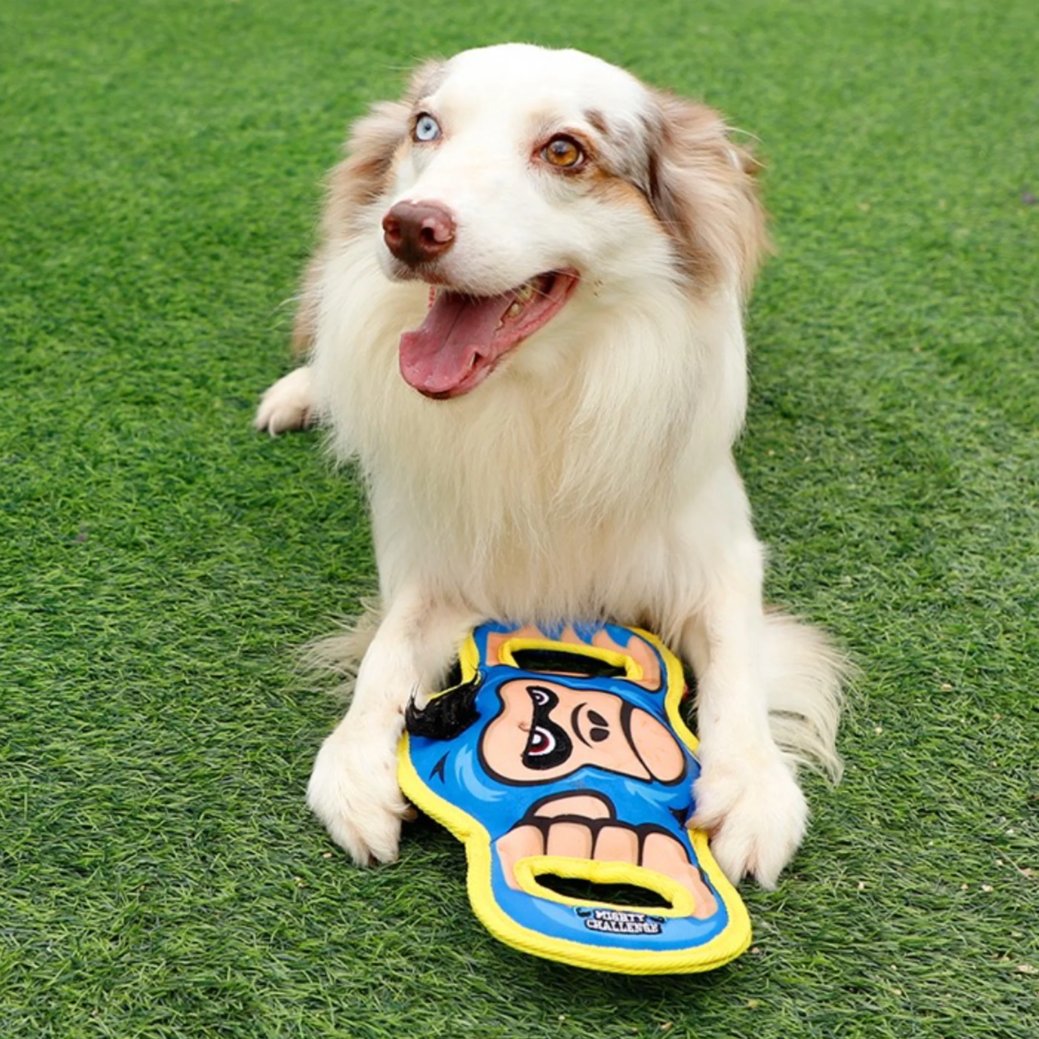 GiGwi Mighty Challenge | Juguete Ultra Resistente para Perros Mordedores - Image 4