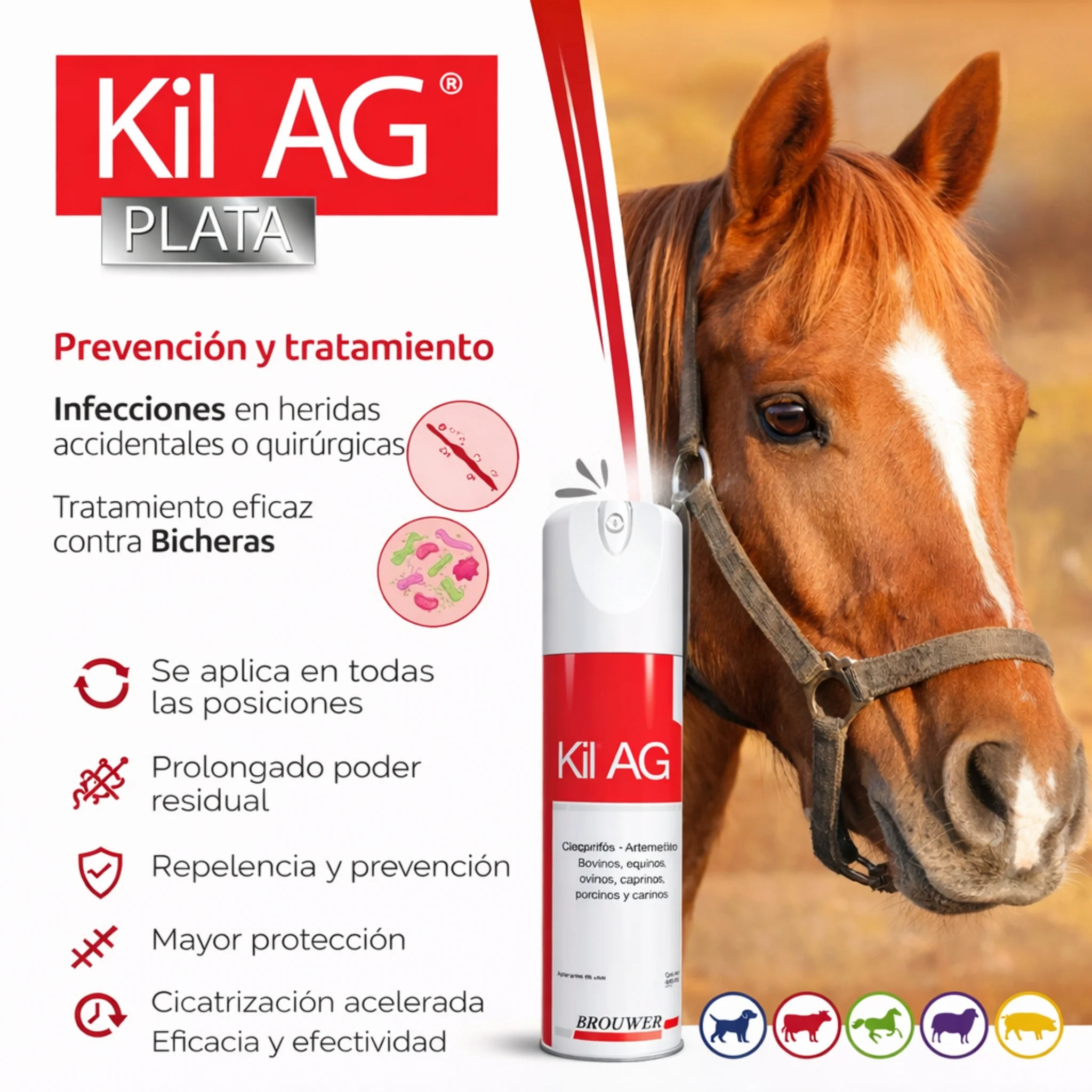 Kil AG Brouwer Spray 440 ml – Tratamiento de Bicheras y Heridas en Animales - Image 3