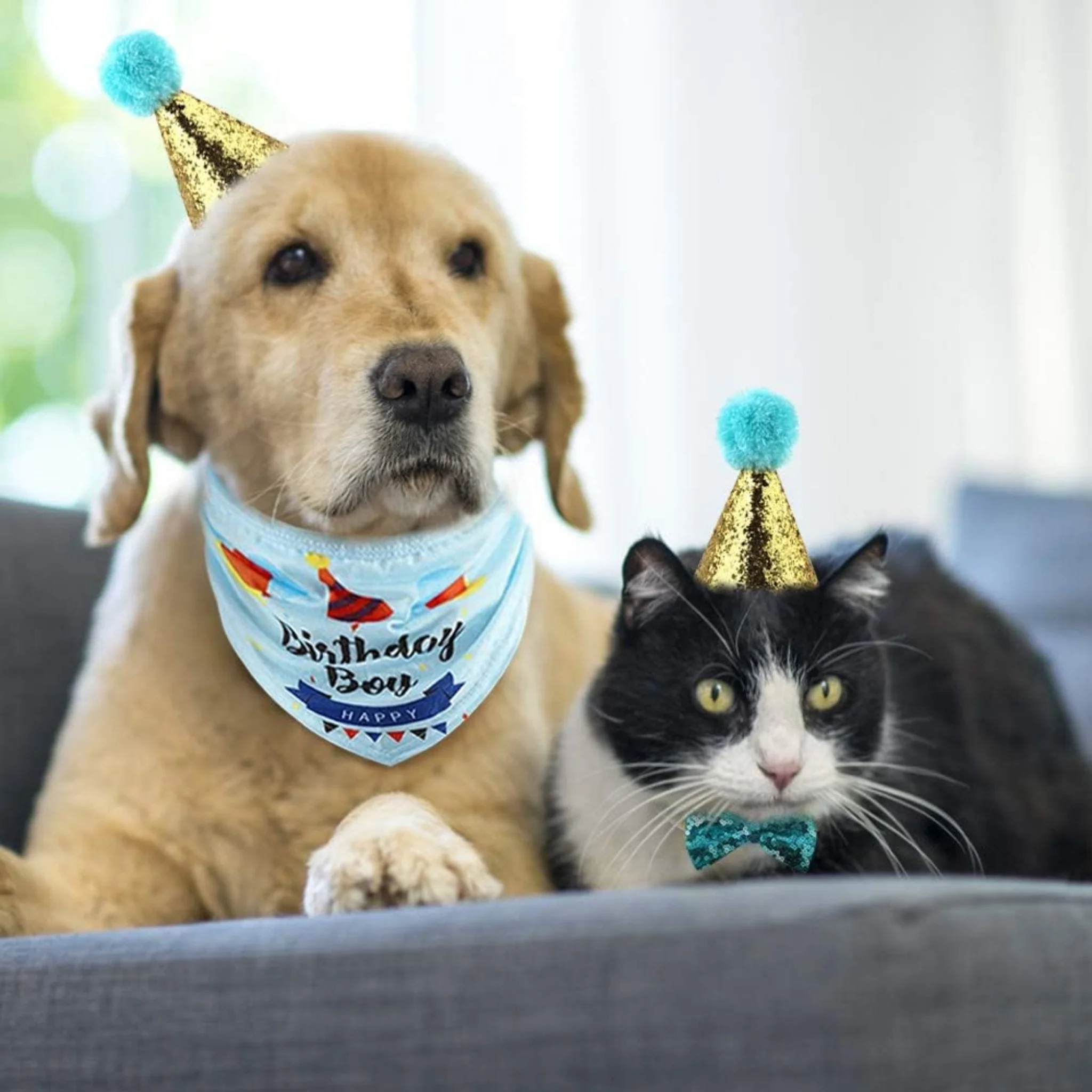 Kit Cumpleañero para Perro o Gato – 7 en 1 - Image 3