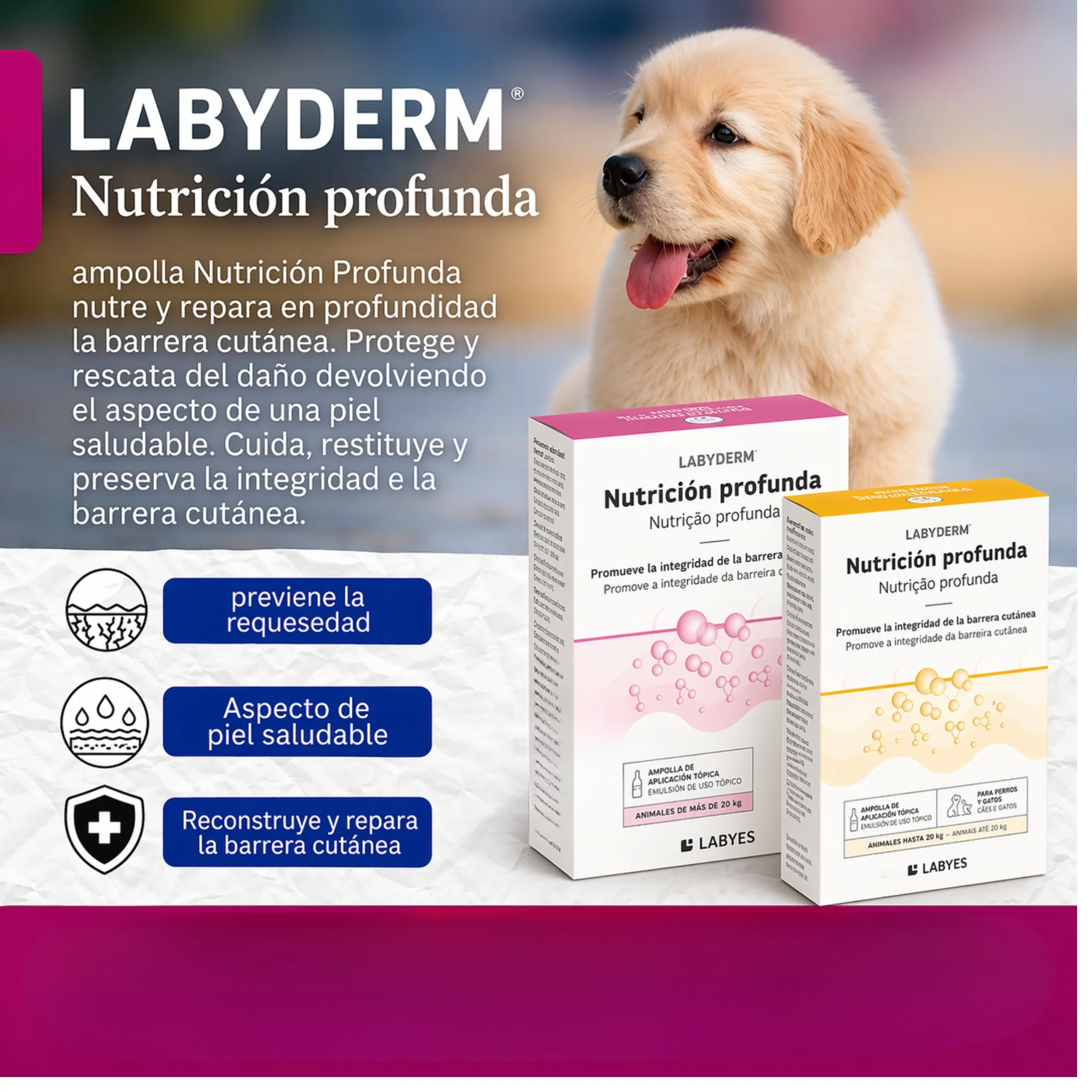 LabyDerm Nutrición Profunda – Ampolla Dermatológica Reparadora para Perros y Gatos - Image 3