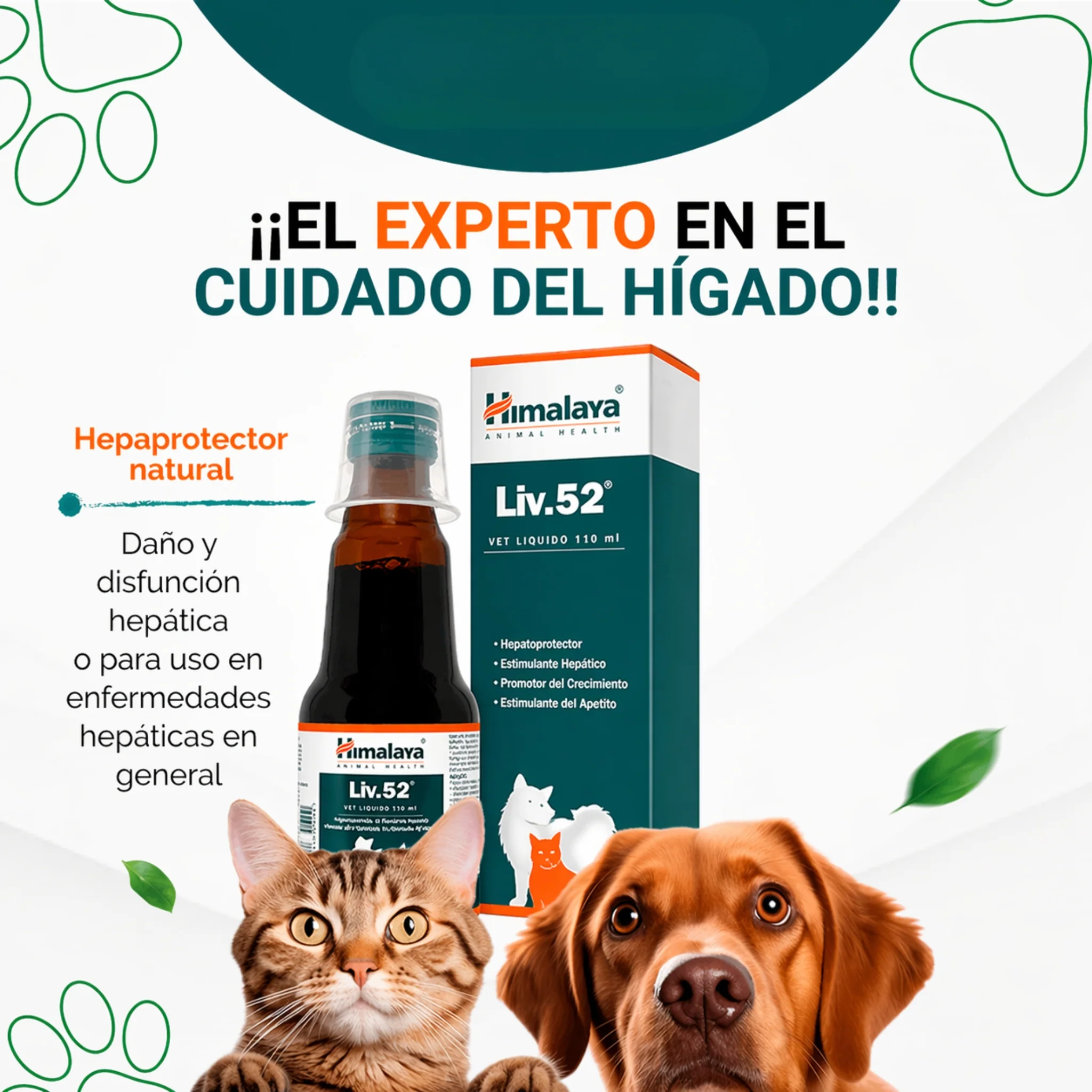 Liv.52 Vet – Protector Hepático y Estimulante del Apetito para Perros y Gatos - Image 2