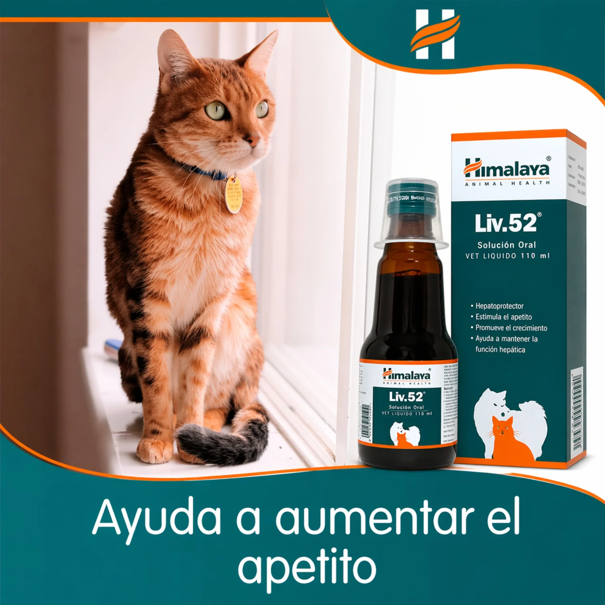 Liv.52 Vet – Protector Hepático y Estimulante del Apetito para Perros y Gatos - Image 3