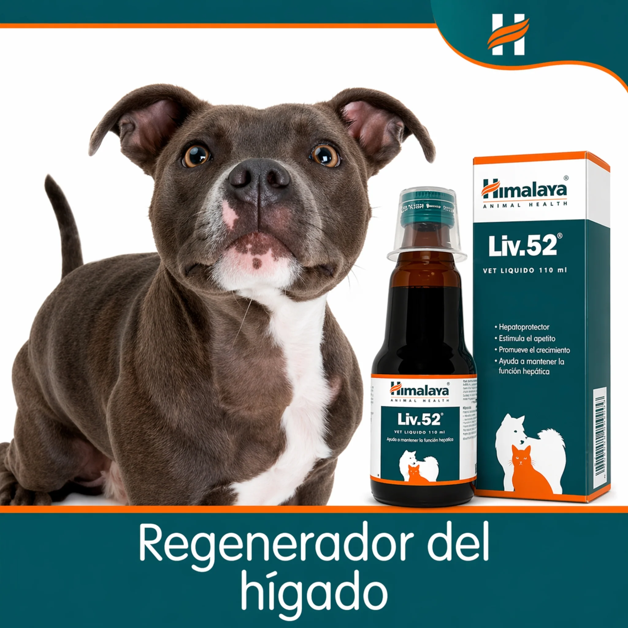 Liv.52 Vet – Protector Hepático y Estimulante del Apetito para Perros y Gatos - Image 4