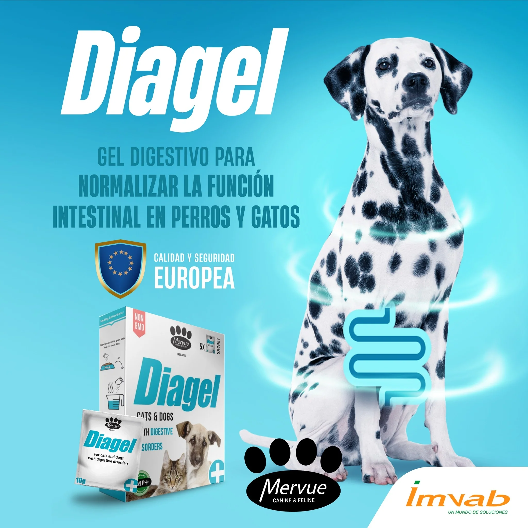Diagel – Regulador Digestivo Dual Action para Perros y Gatos - Image 2