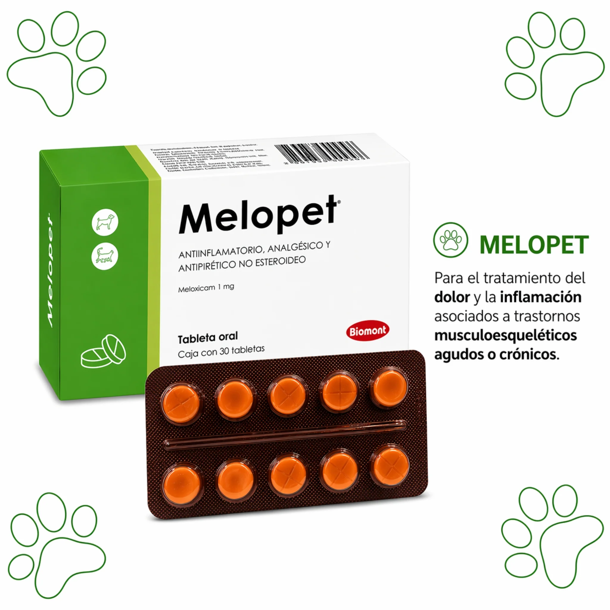 Melopet – Antiinflamatorio, Analgésico y Antipirético para Perros y Gatos - Image 3