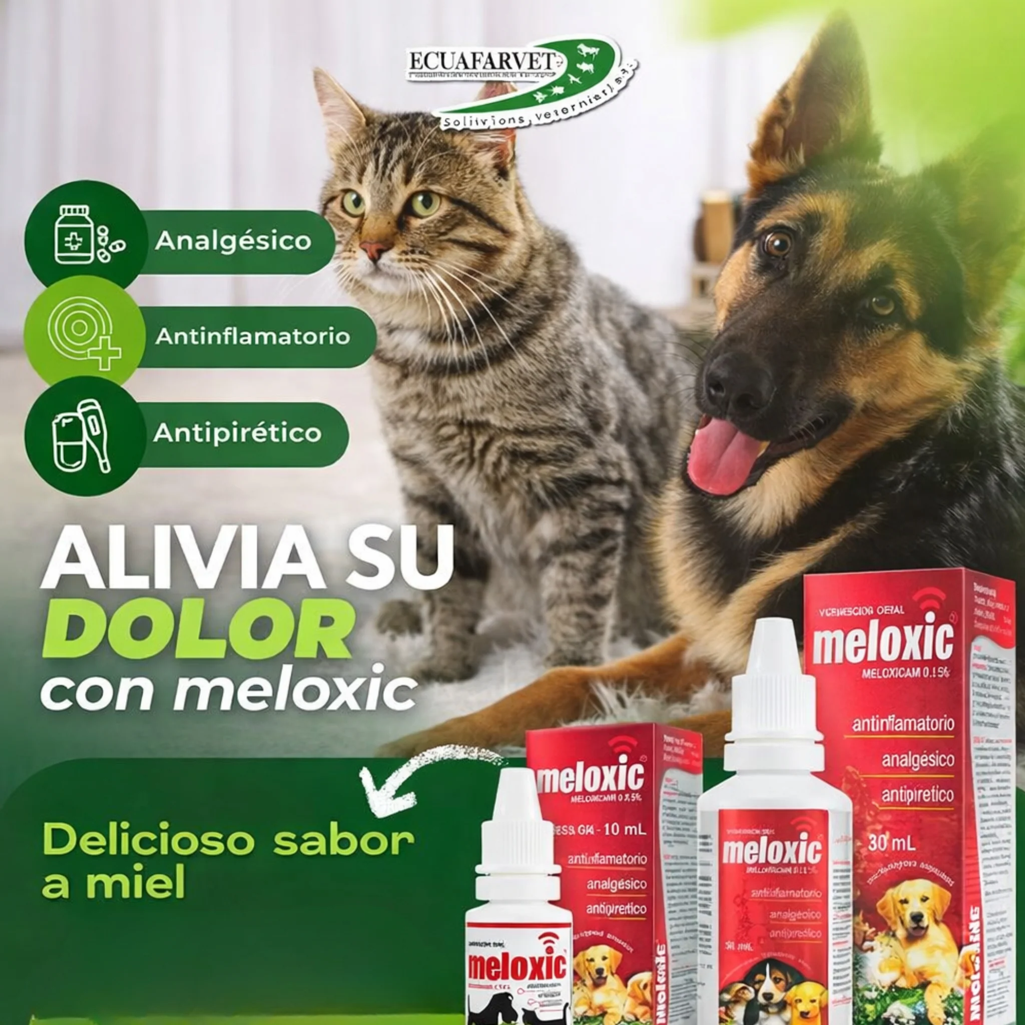 Meloxic 0.15% Suspensión Oral 10ml – Alivio del Dolor e Inflamación en Perros y Gatos - Image 3