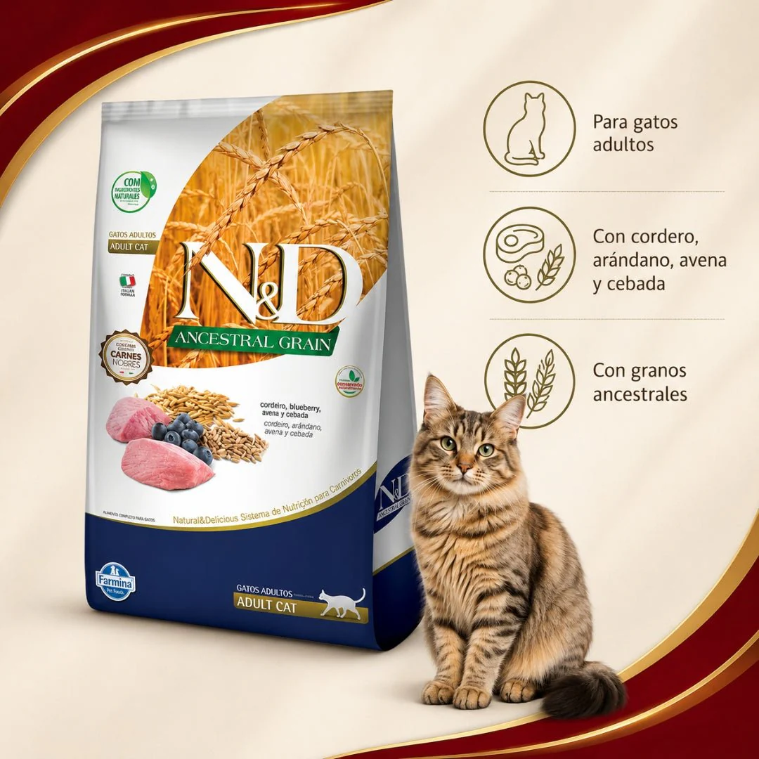 N&D Ancestral Cat Cordero Adulto - Image 2