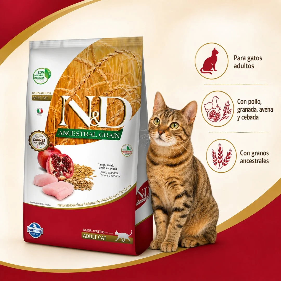 N&D Ancestral Cat Pollo Adulto 1.5kg - Image 2