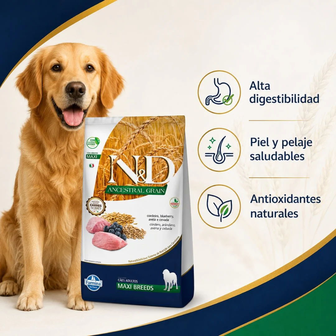 N&D Ancestral Grain Cordero Adulto Maxi 10.1kg - Image 3