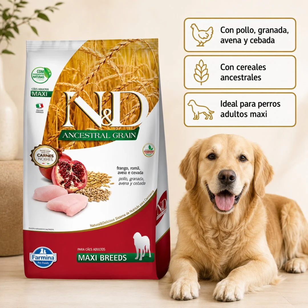 N&D Ancestral Grain Pollo Adulto Maxi 10.1kg - Image 2
