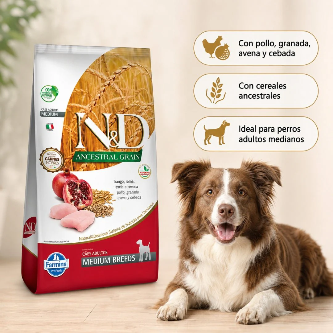 N&D Ancestral Grain Pollo Adulto Medium - Image 2