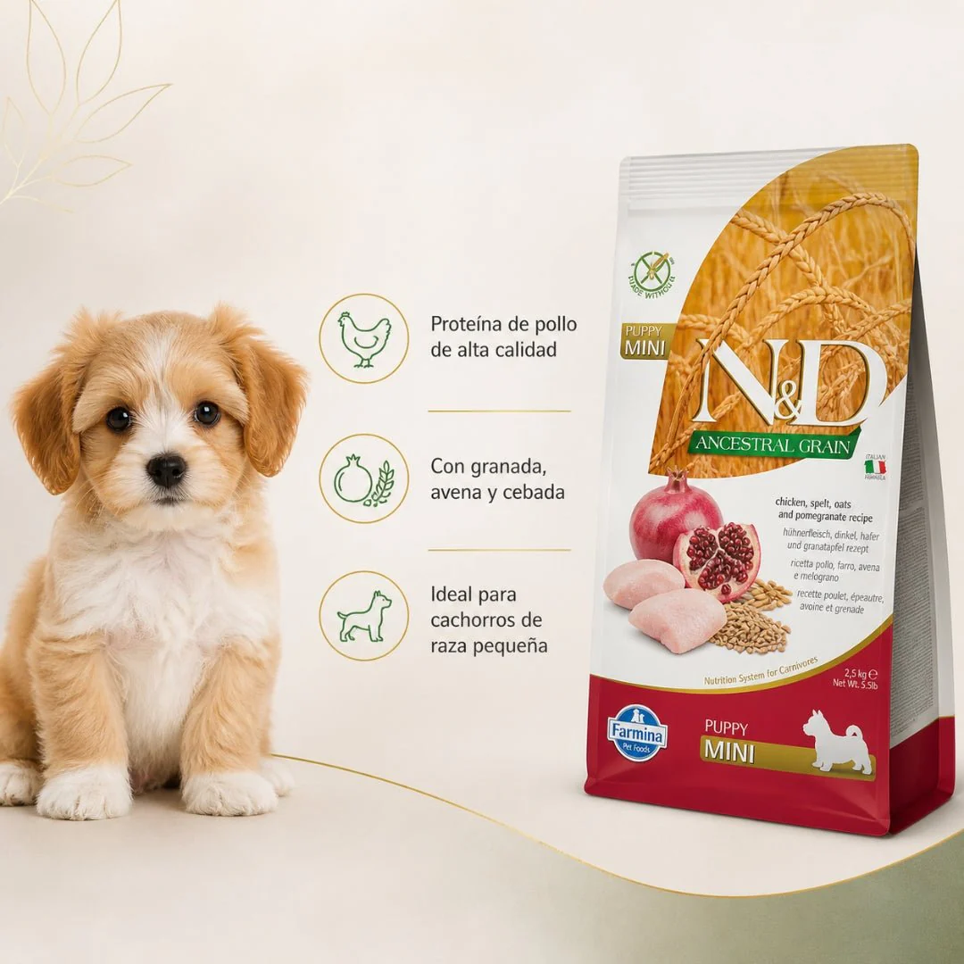 N&D Ancestral Grain Pollo Cachorro Mini 2.5kg - Image 2