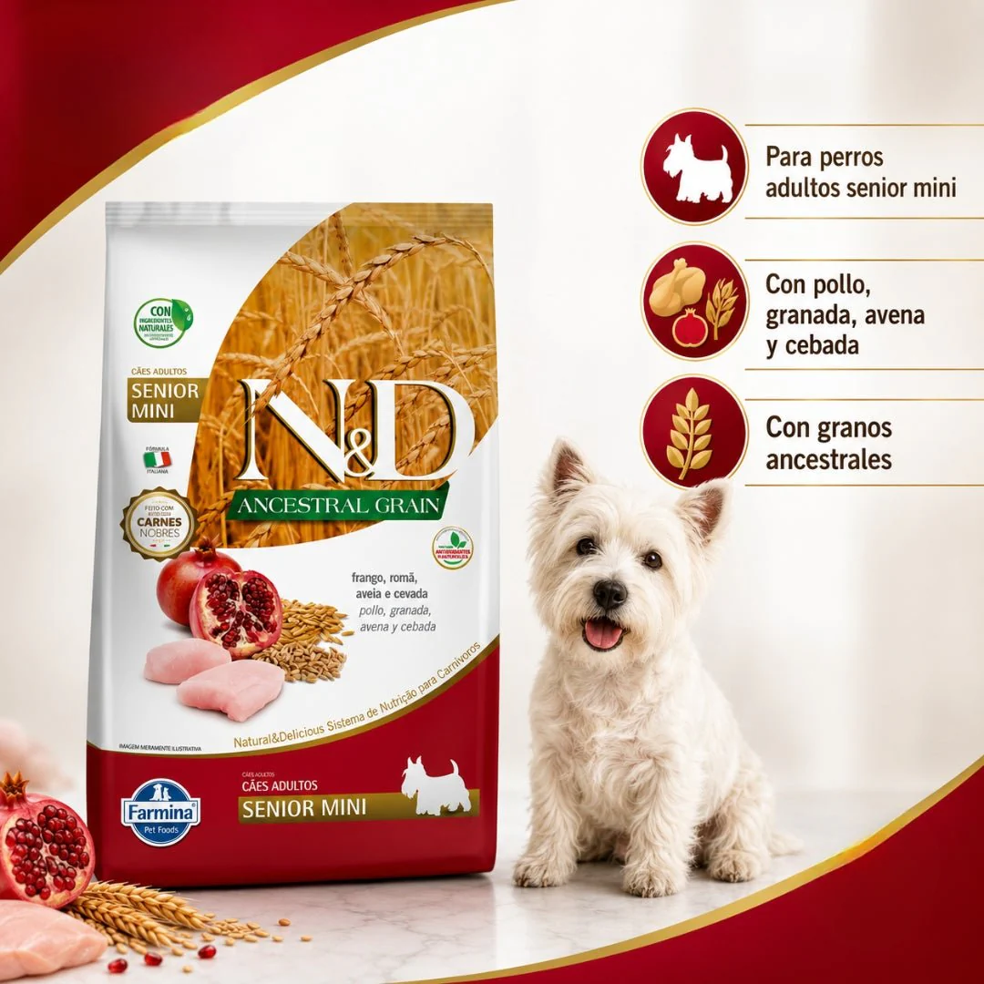 N&D Ancestral Grain Pollo Senior Mini 2.5kg - Image 2