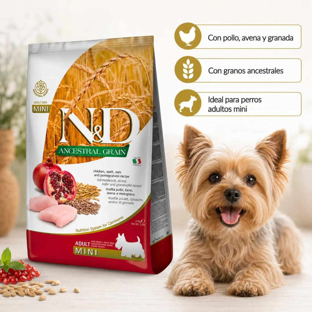 N&D Ancestral Grain Pollo adulto Mini 2.5kg - Image 3
