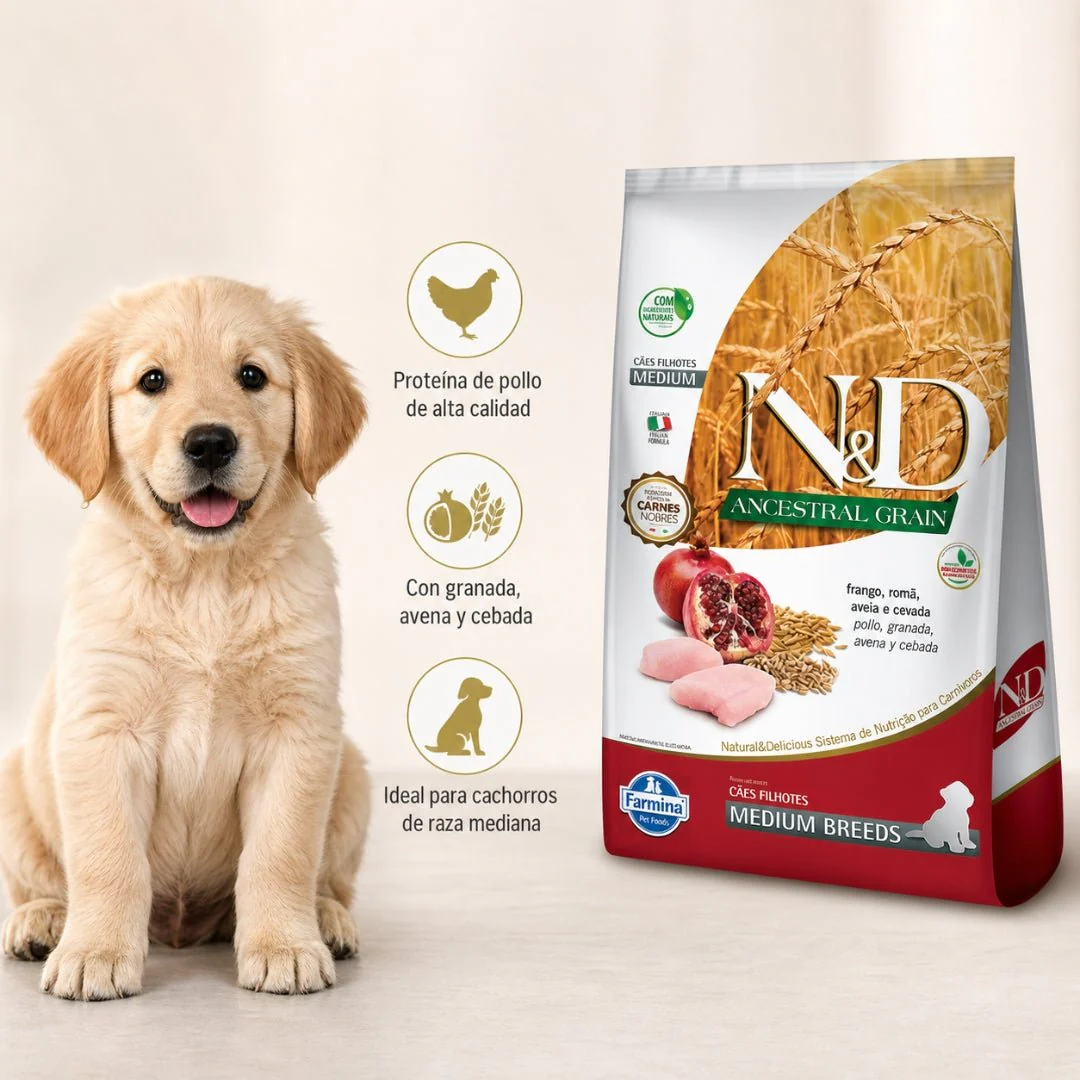 N&D Ancestral Grain Pollo Cachorro Medium 10.1kg - Image 3