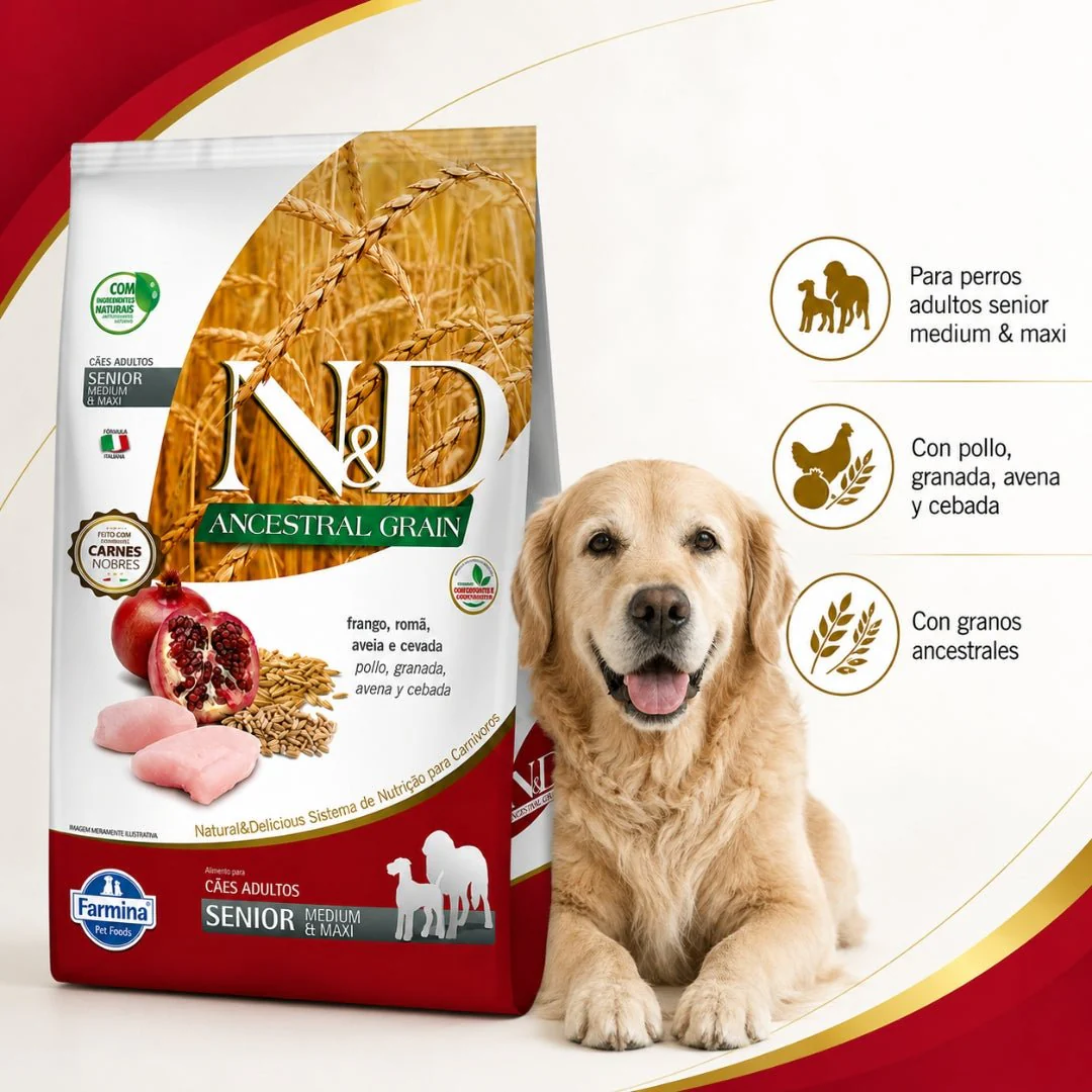 N&D Ancestral Grain Pollo Senior Medium y Maxi - Image 2