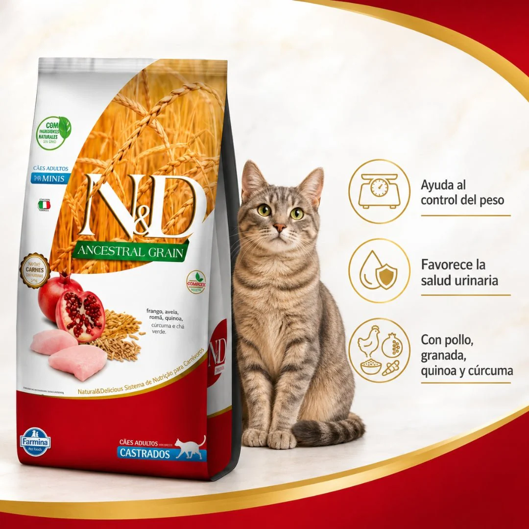 N&D Ancestral Cat Pollo Adulto Castrado - Image 2