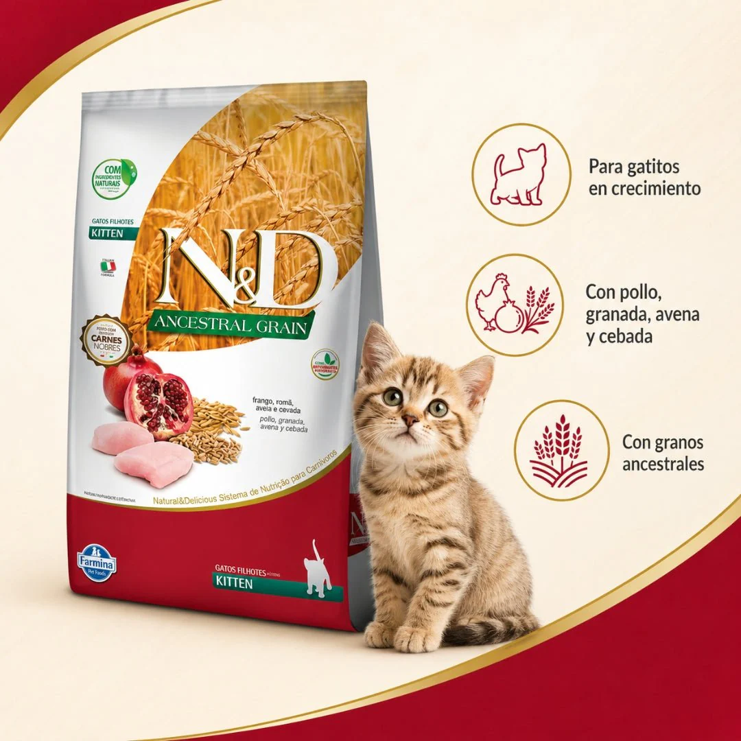 N&D Ancestral Cat Pollo Kitten 1.5kg - Image 2