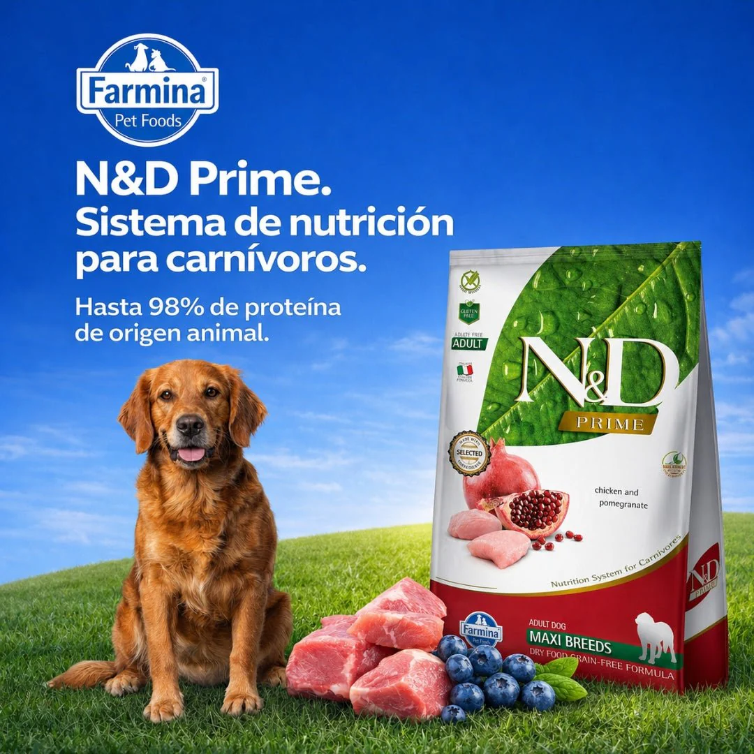 N&D Prime Adult Maxi Pollo 10kg - Image 3