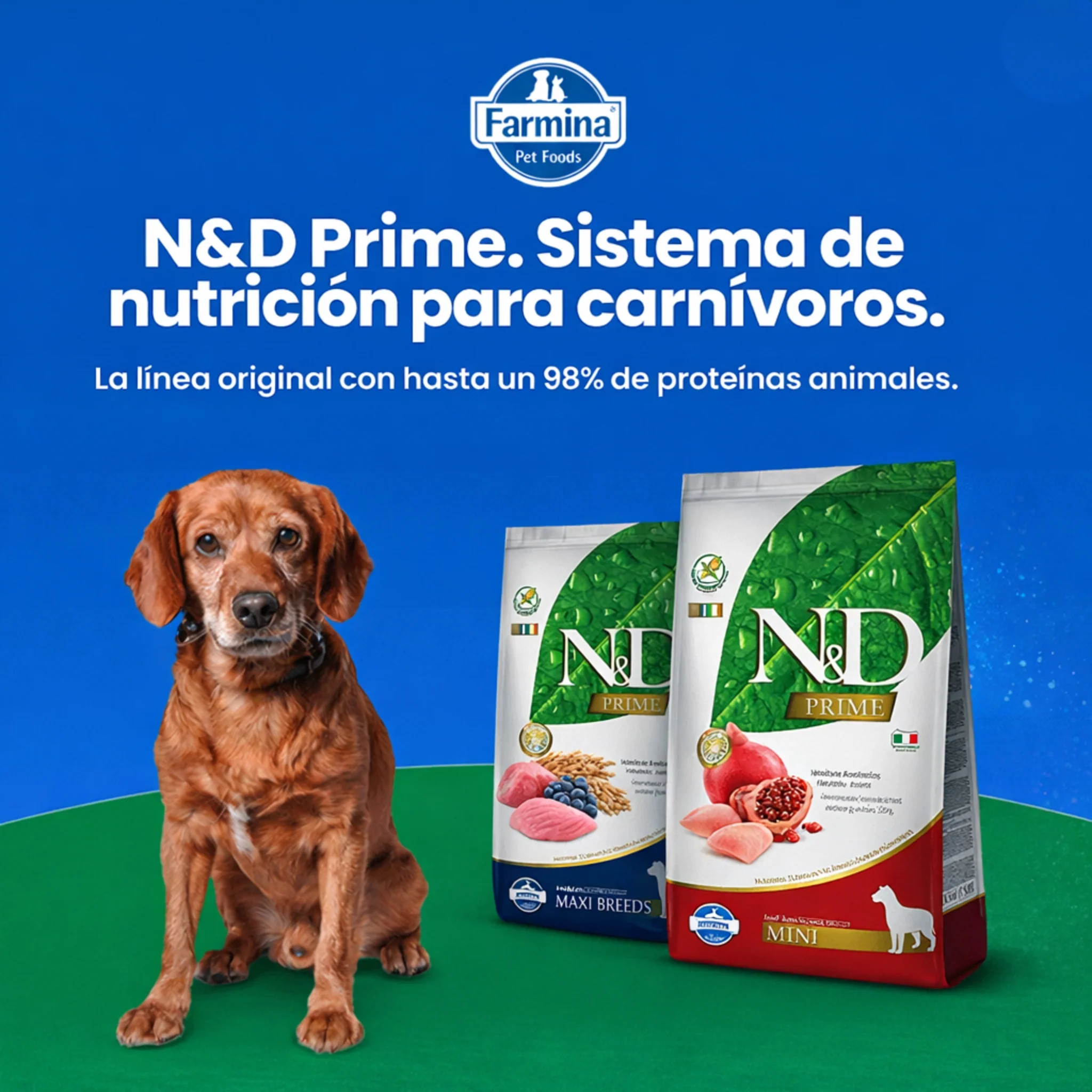 N&D Prime Cordero Adulto Medium - Image 4