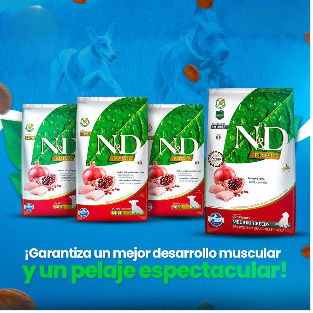 N&D Prime Pollo Cachorro Mini 2.5kg - Image 3