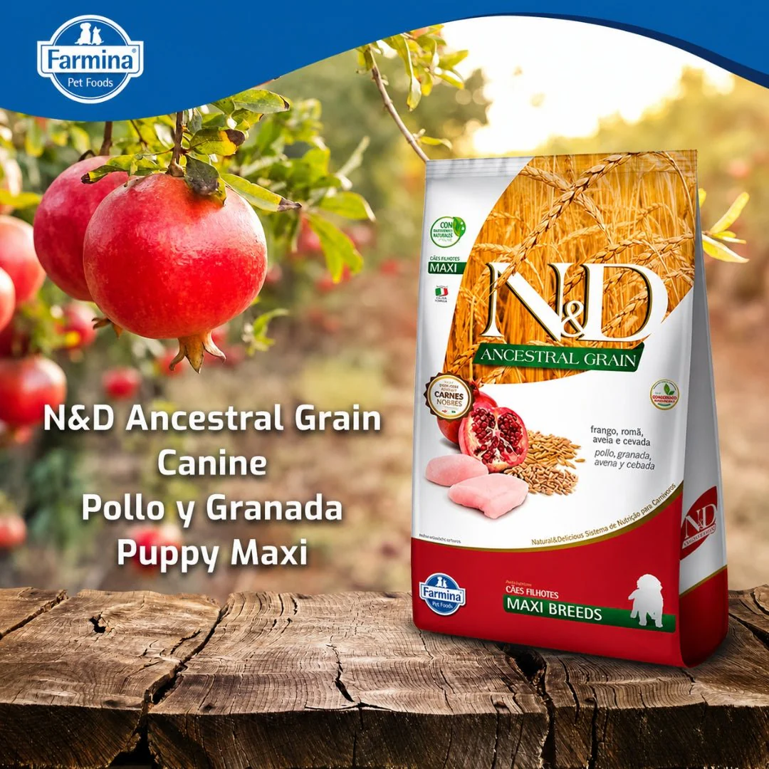N&D Prime Pollo Cachorro Maxi 10.1kg - Image 3