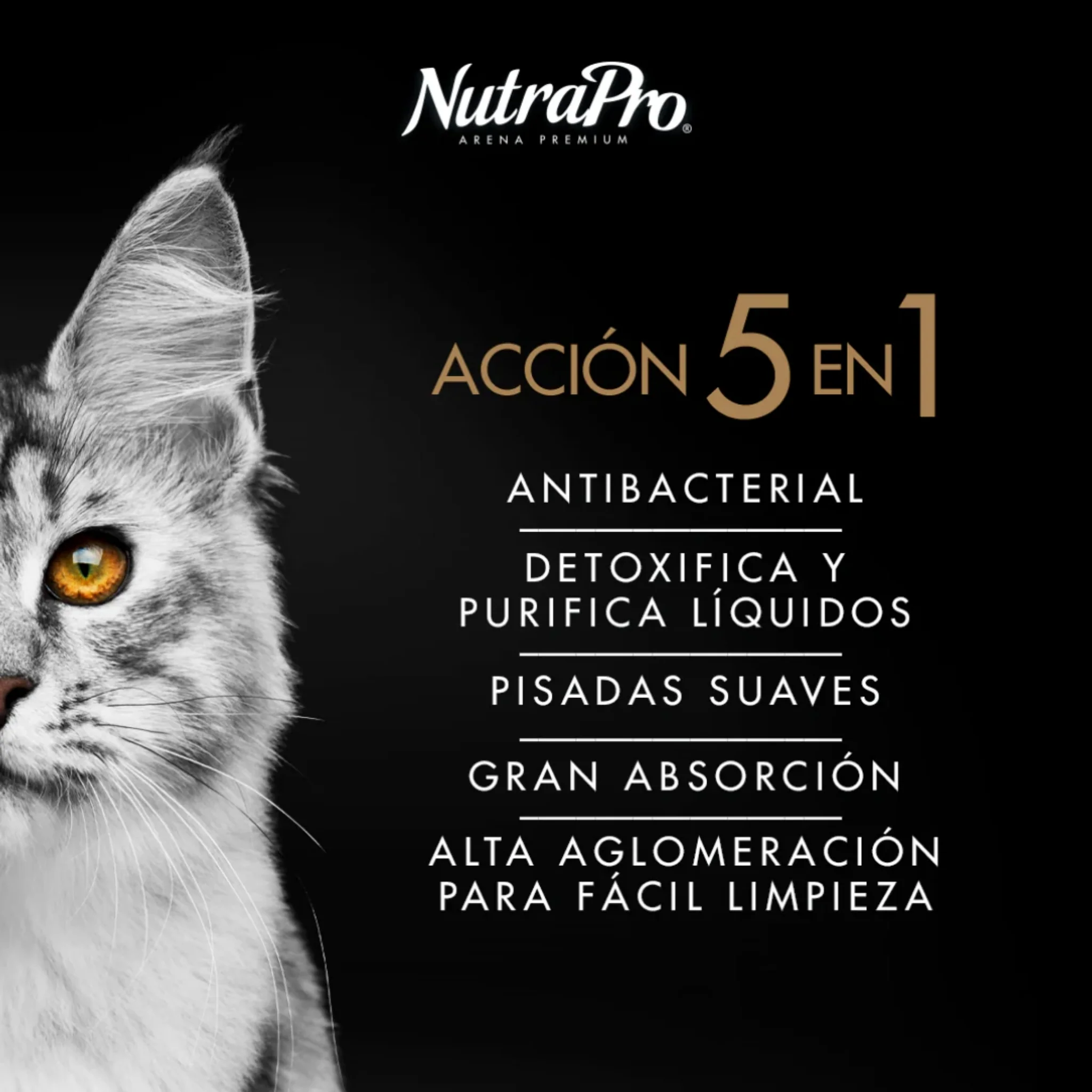 NutraPro Arena para Gatos con Carbón Activo – Control de Olor y Alta Absorción 18 kg - Image 3