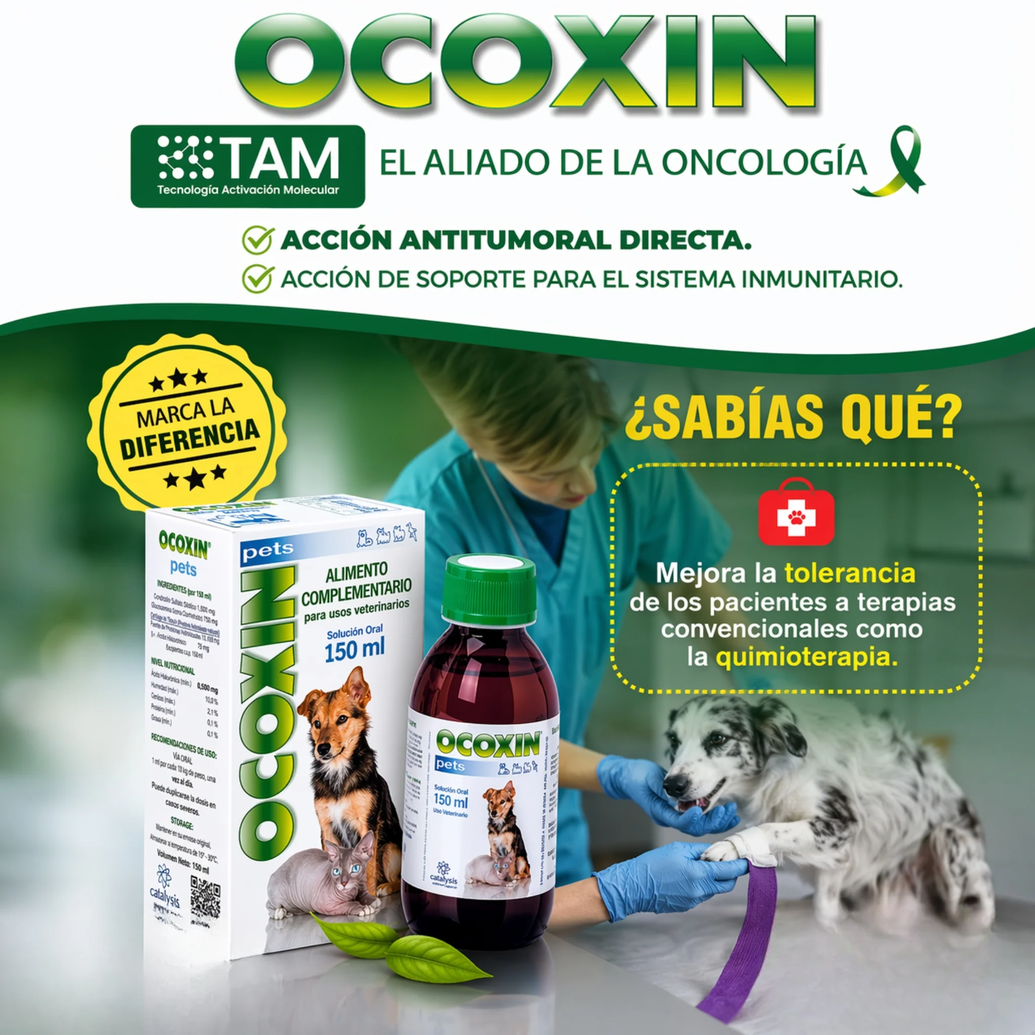 Ocoxin Pets – Suplemento Inmunológico y Antioxidante para Perros y Gatos - Image 3