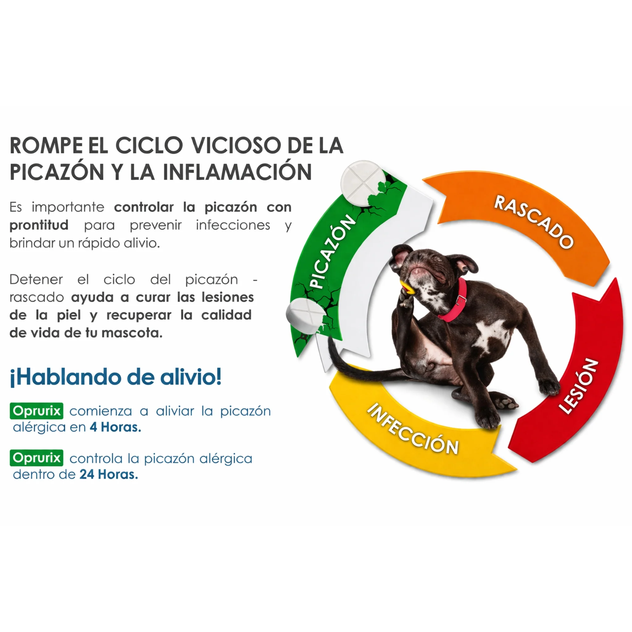 Oprurix® – Control del Prurito y Alergias en Perros (Oclacitinib) - Image 5