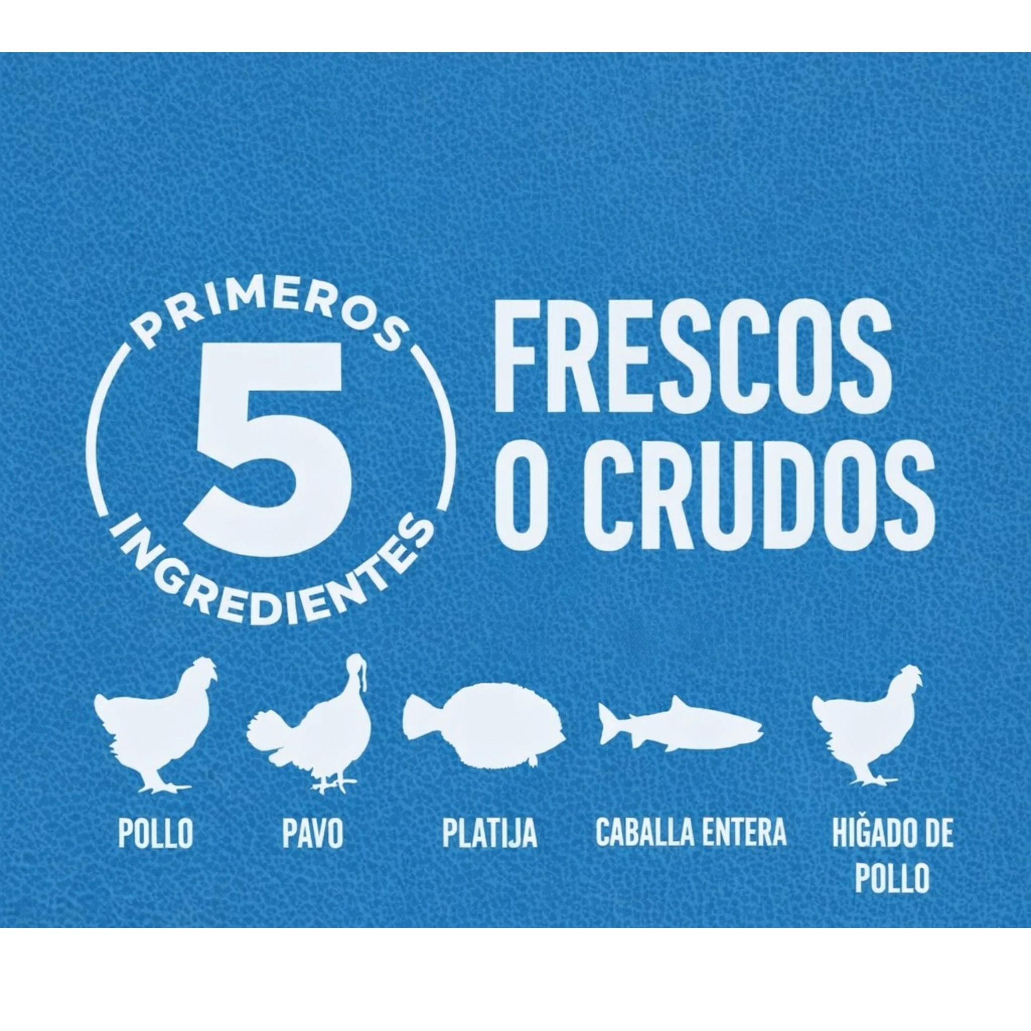 ORIJEN Original – Alimento Premium para Perros de Todas las Edades - Image 4