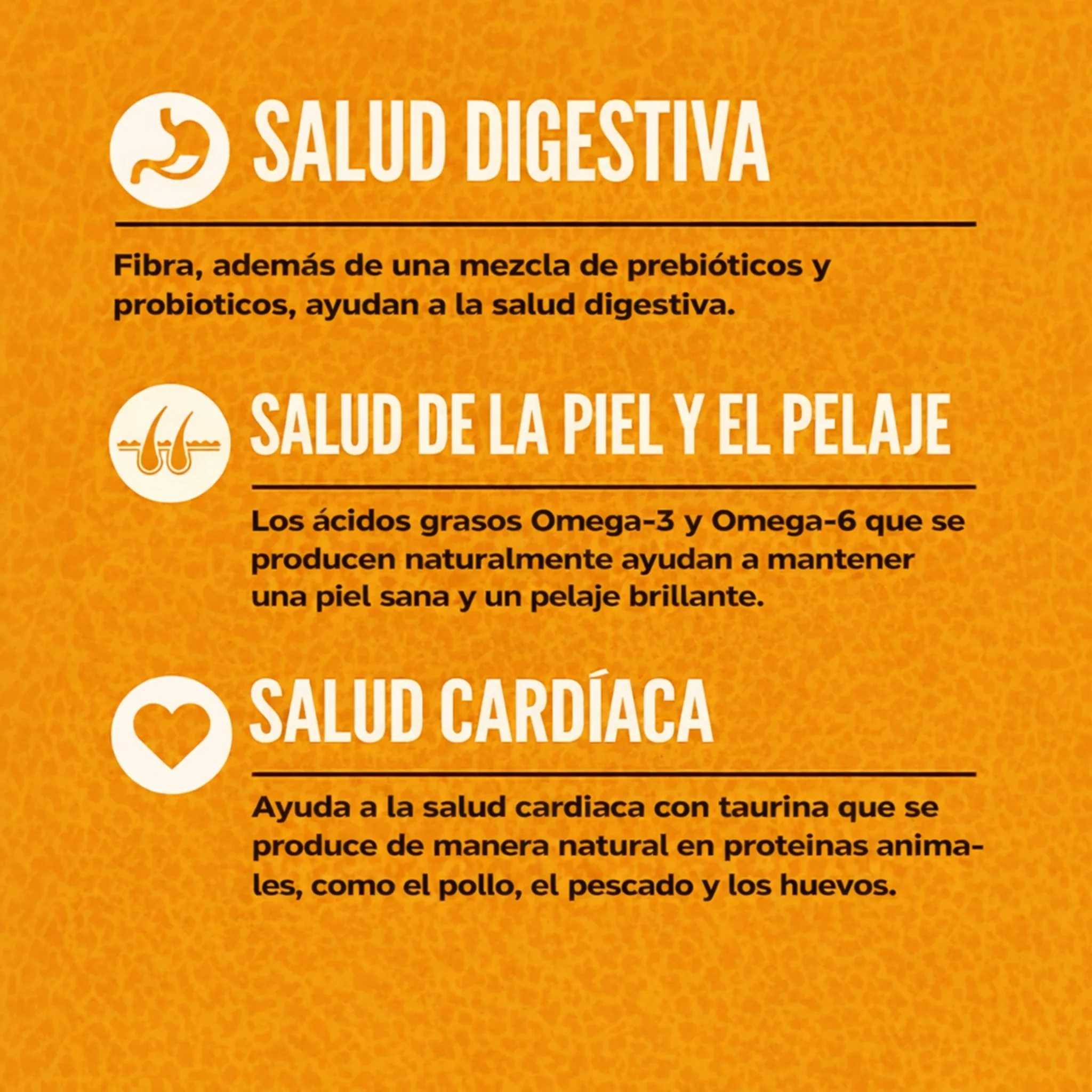 ORIJEN Original Cat & Kitten – Comida Natural para Gatos de Todas las Edades - Image 4