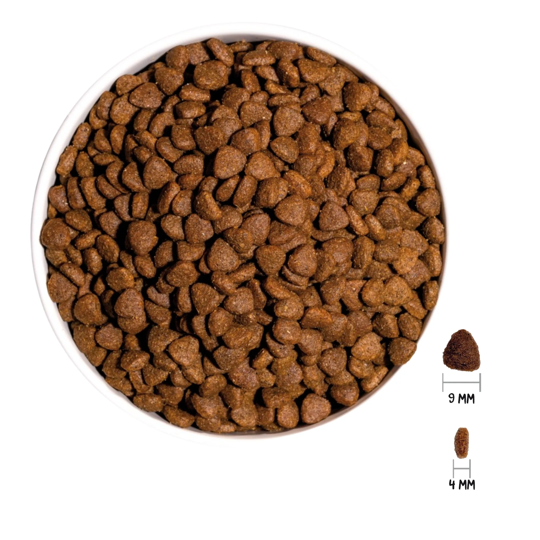 OWNAT CLASSIC KITTEN – Gatitos de 1 a 12 meses - Image 3
