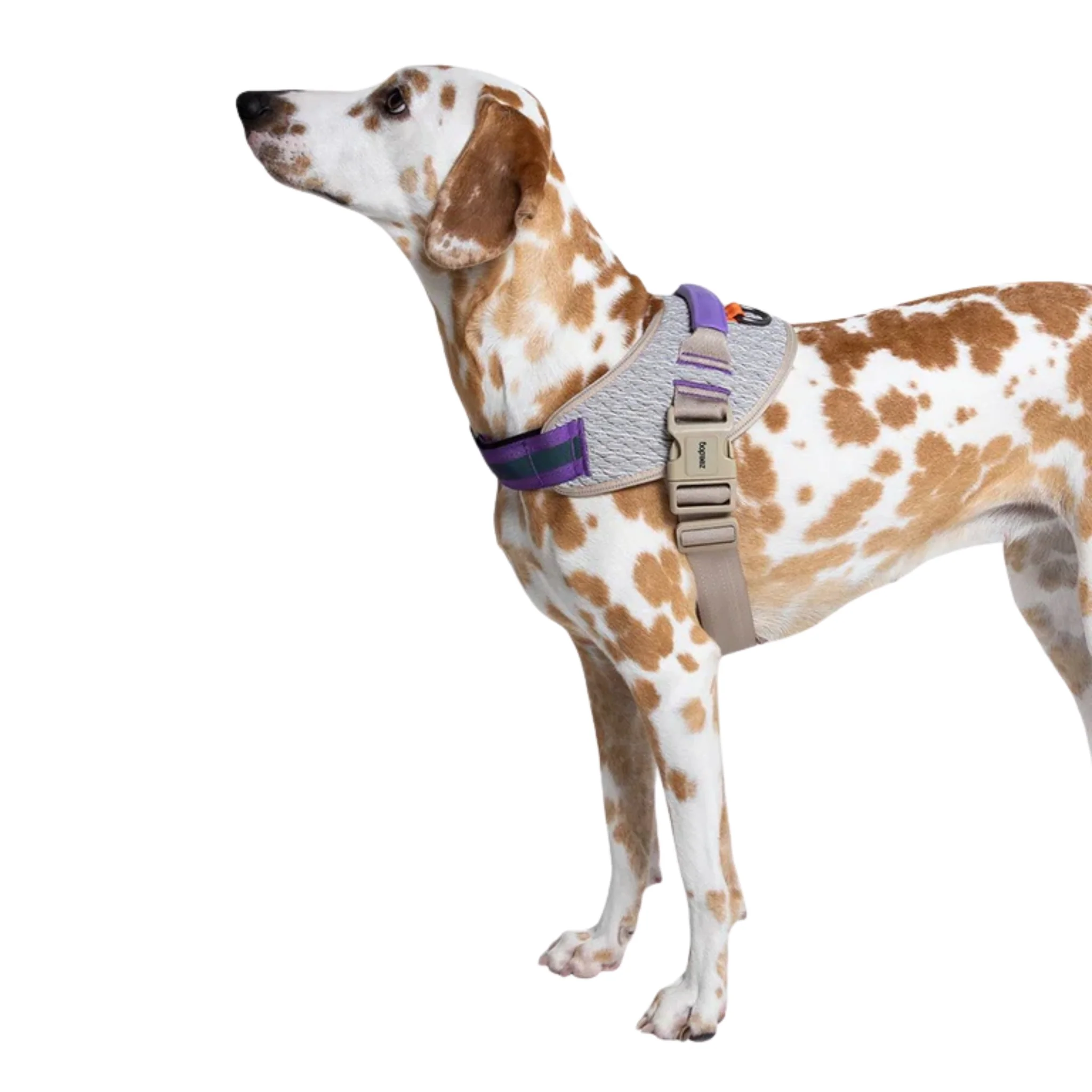 Pechera ZeeDog ACG FlyHarness – Ajustable y Ergonómica - Image 3
