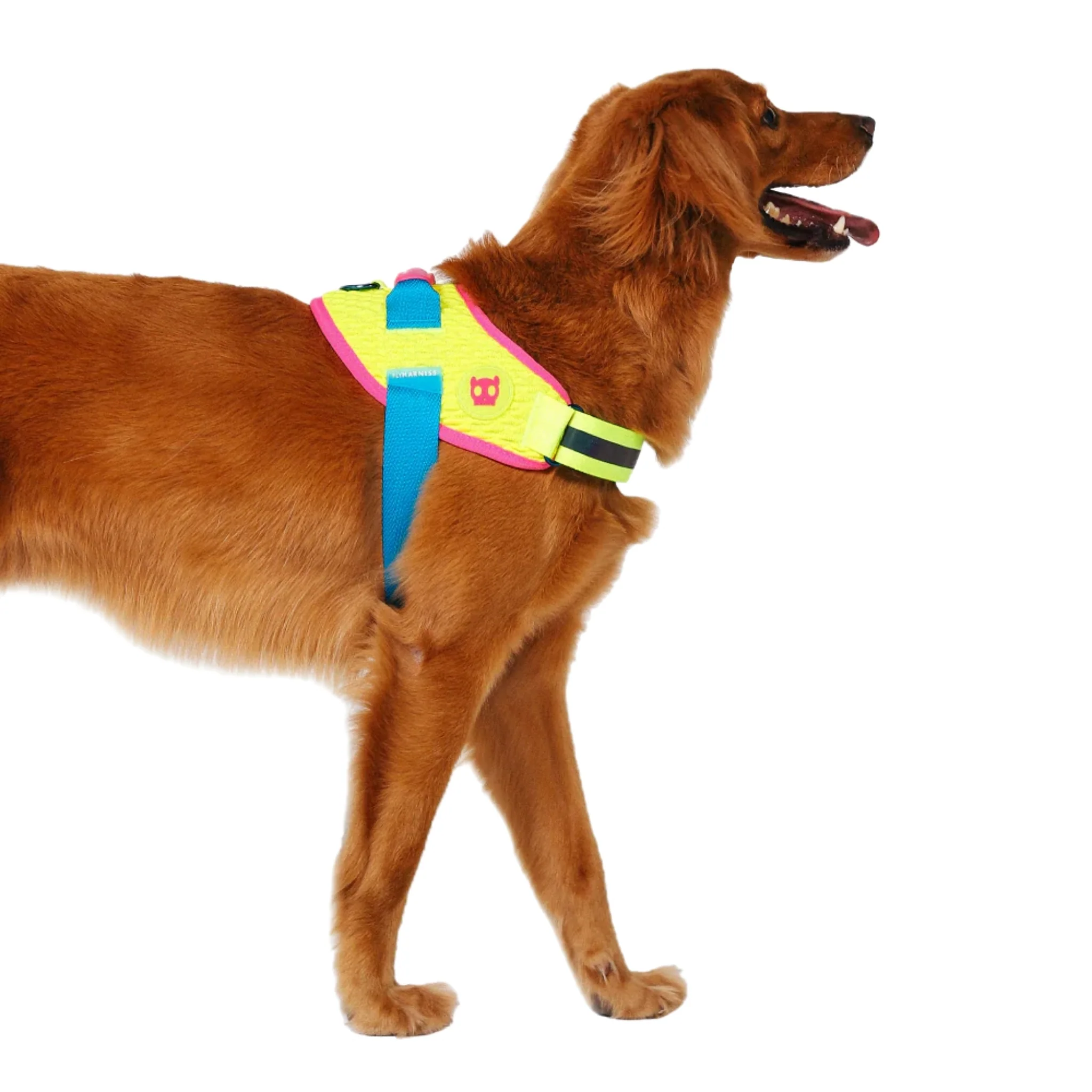 Pechera ZeeDog CMYK FlyHarness – Ajustable y Colorida - Image 3