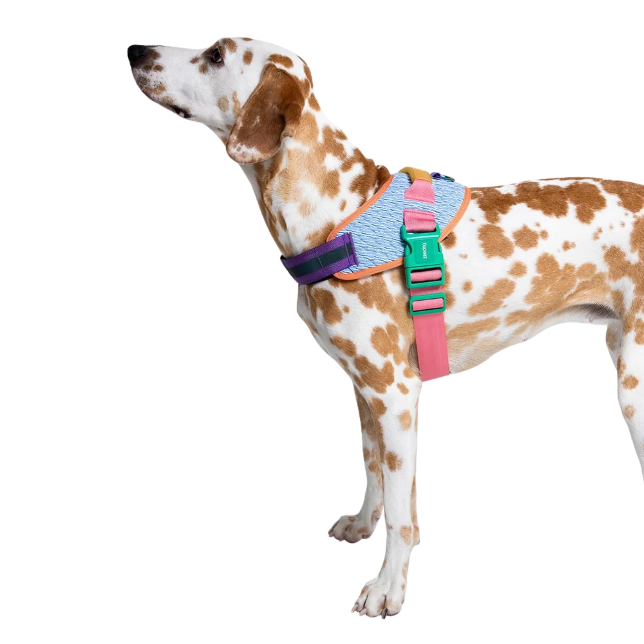 Pechera ZeeDog Galaxy FlyHarness – Ajustable y Ergonómica - Image 3