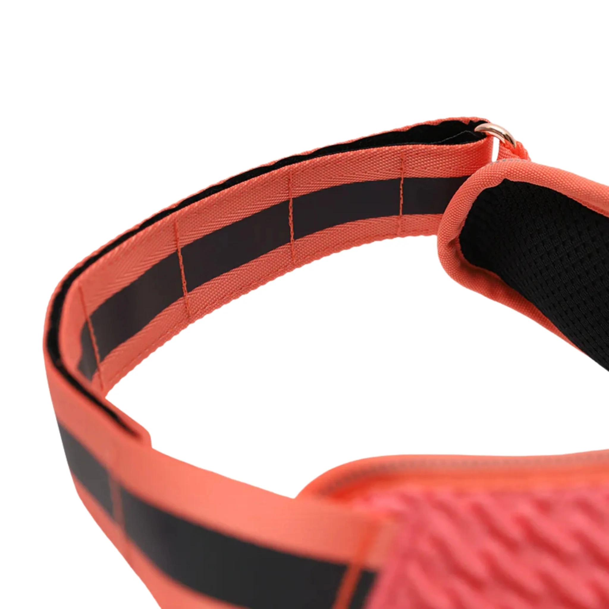 Pechera ZeeDog Gazelle FlyHarness – Ajustable y Ergonómica - Image 5