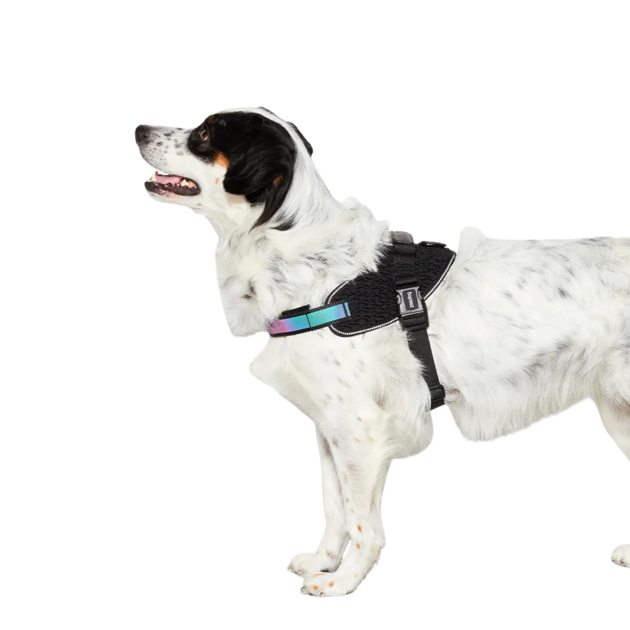 Pechera ZeeDog Gotham FlyHarness – Ajustable y Confortable - Image 3