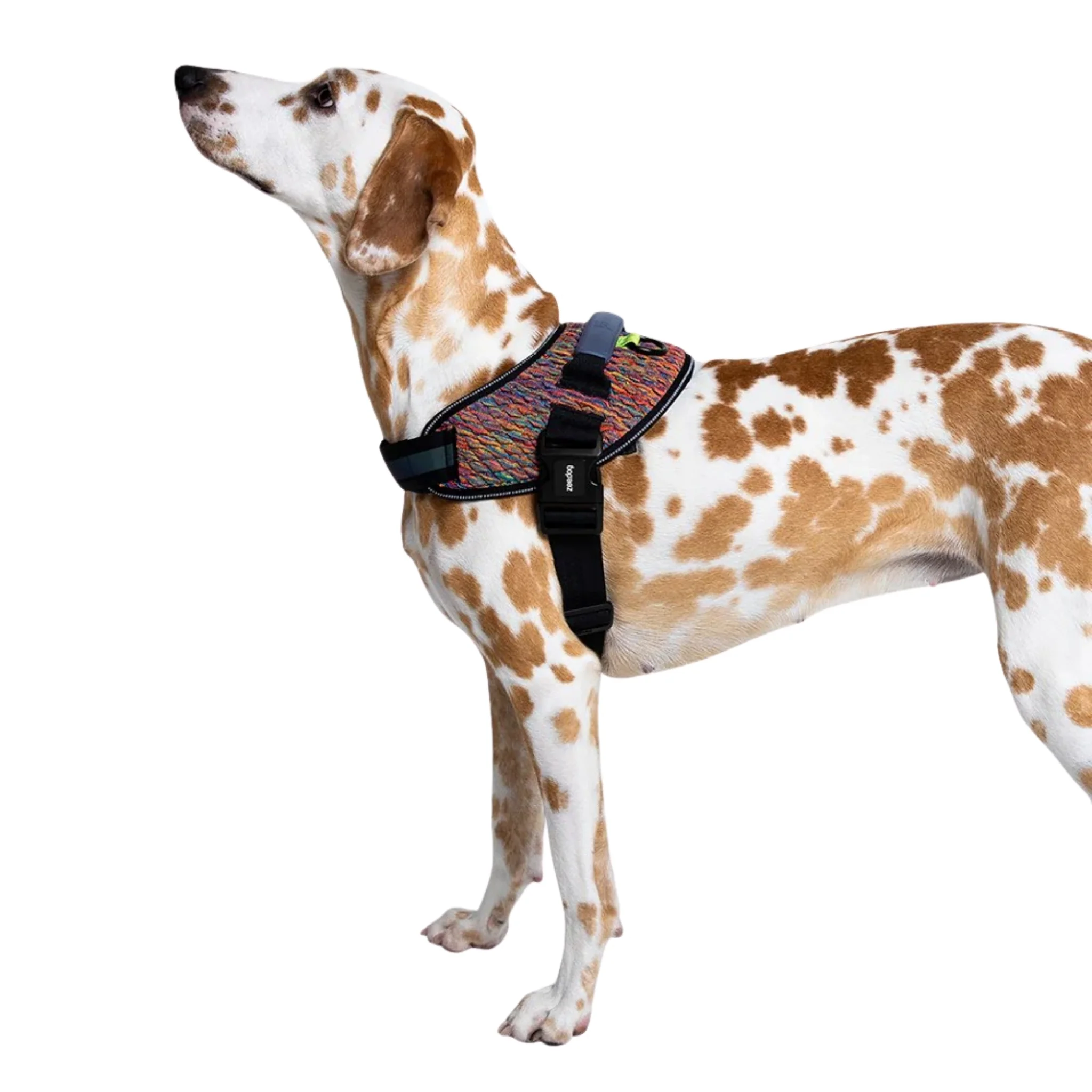 Pechera ZeeDog Vortex FlyHarness – Ajustable y Ergonómica - Image 3