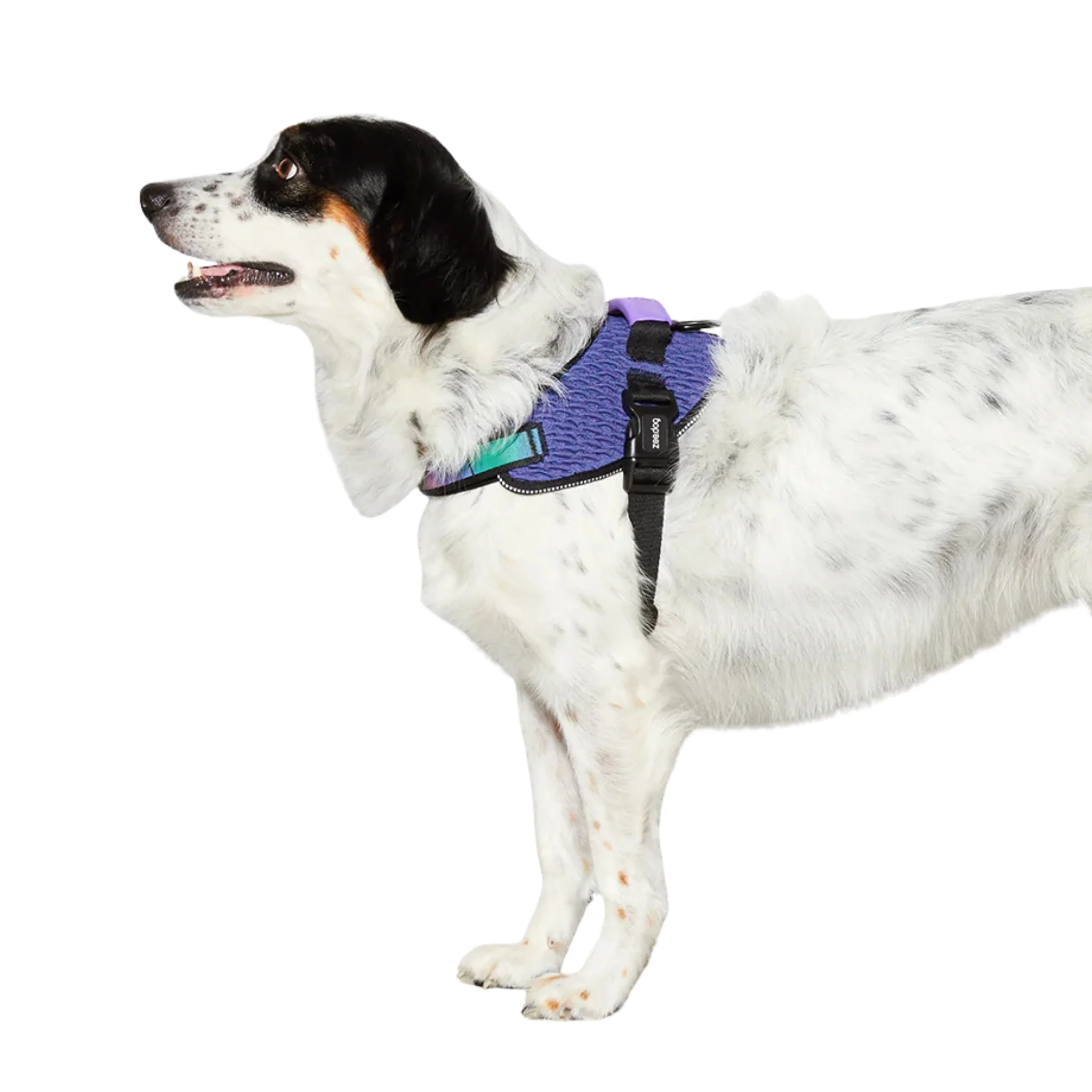 Pechera ZeeDog Wicked FlyHarness – Ajustable y Ergonómica - Image 3
