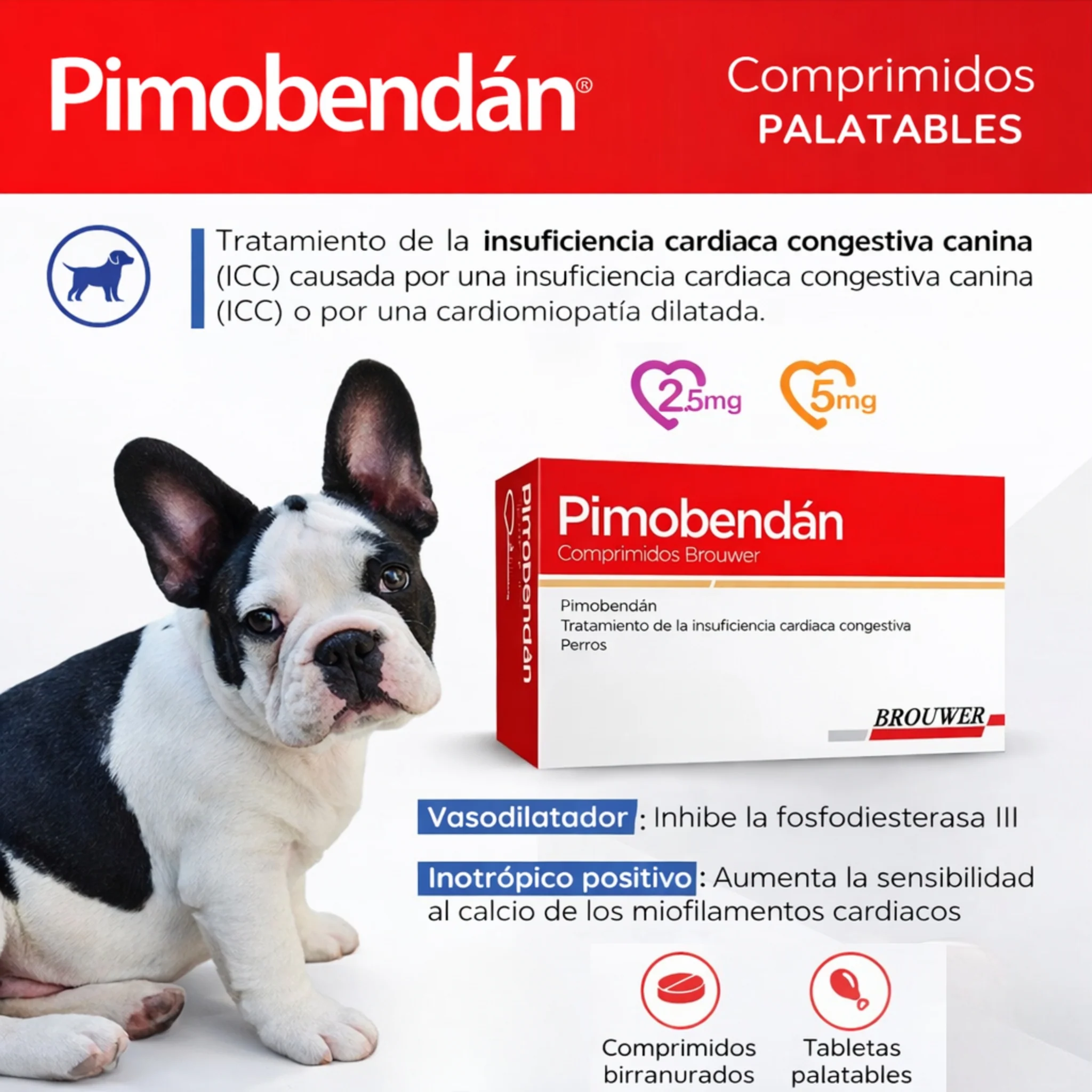 Pimobendán Brouwer – Tratamiento de Insuficiencia Cardíaca - Image 3