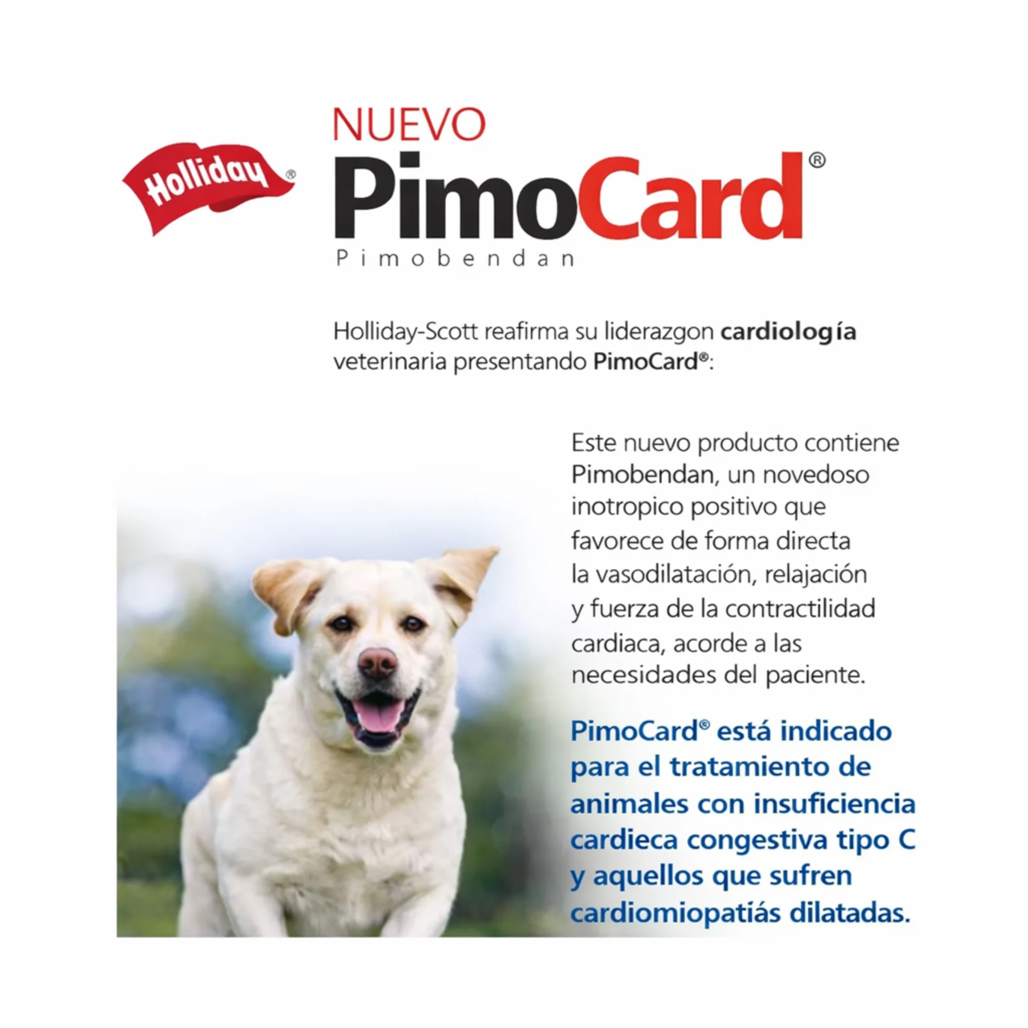 Pimocard – Soporte Cardiológico para Perros - Image 4