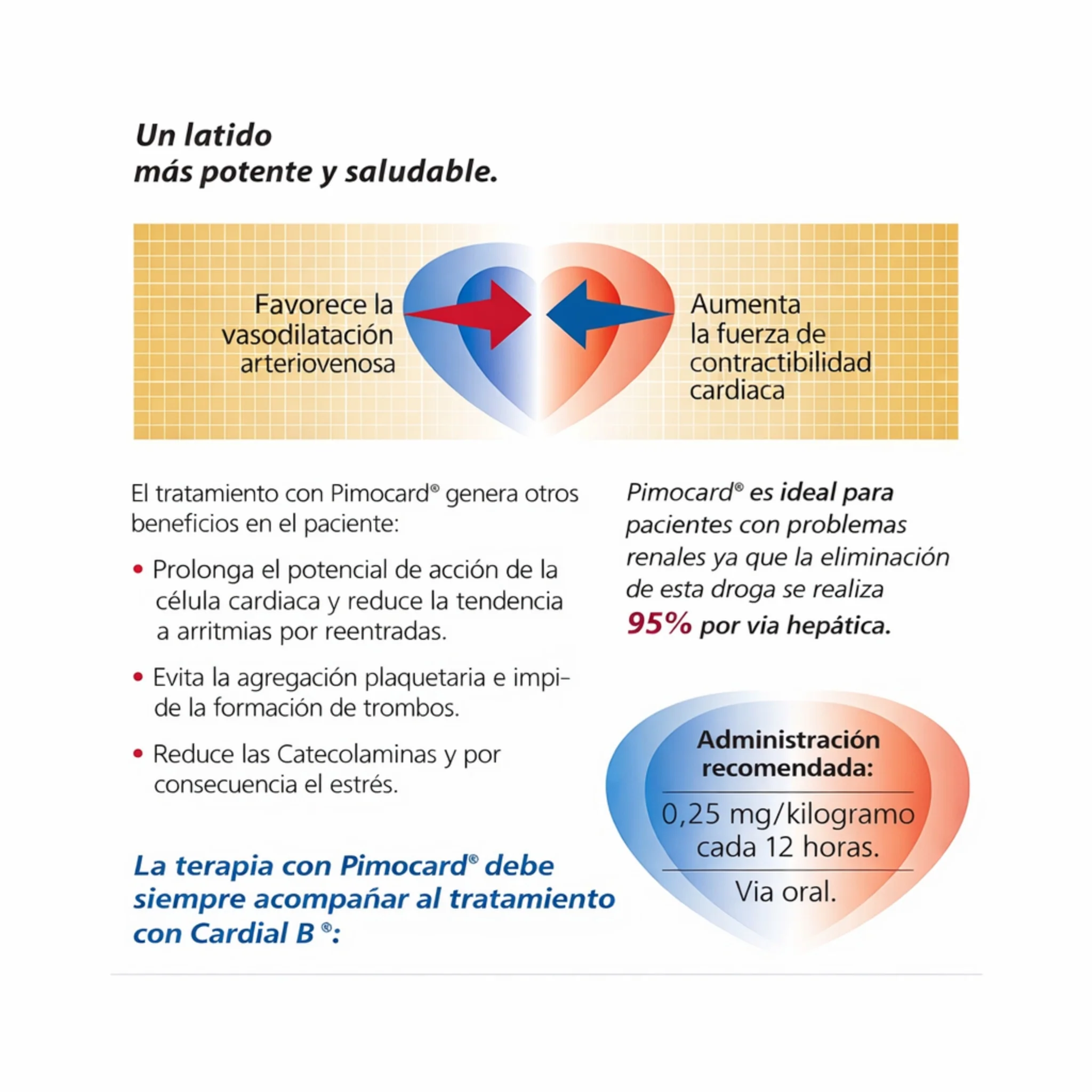 Pimocard – Soporte Cardiológico para Perros - Image 5