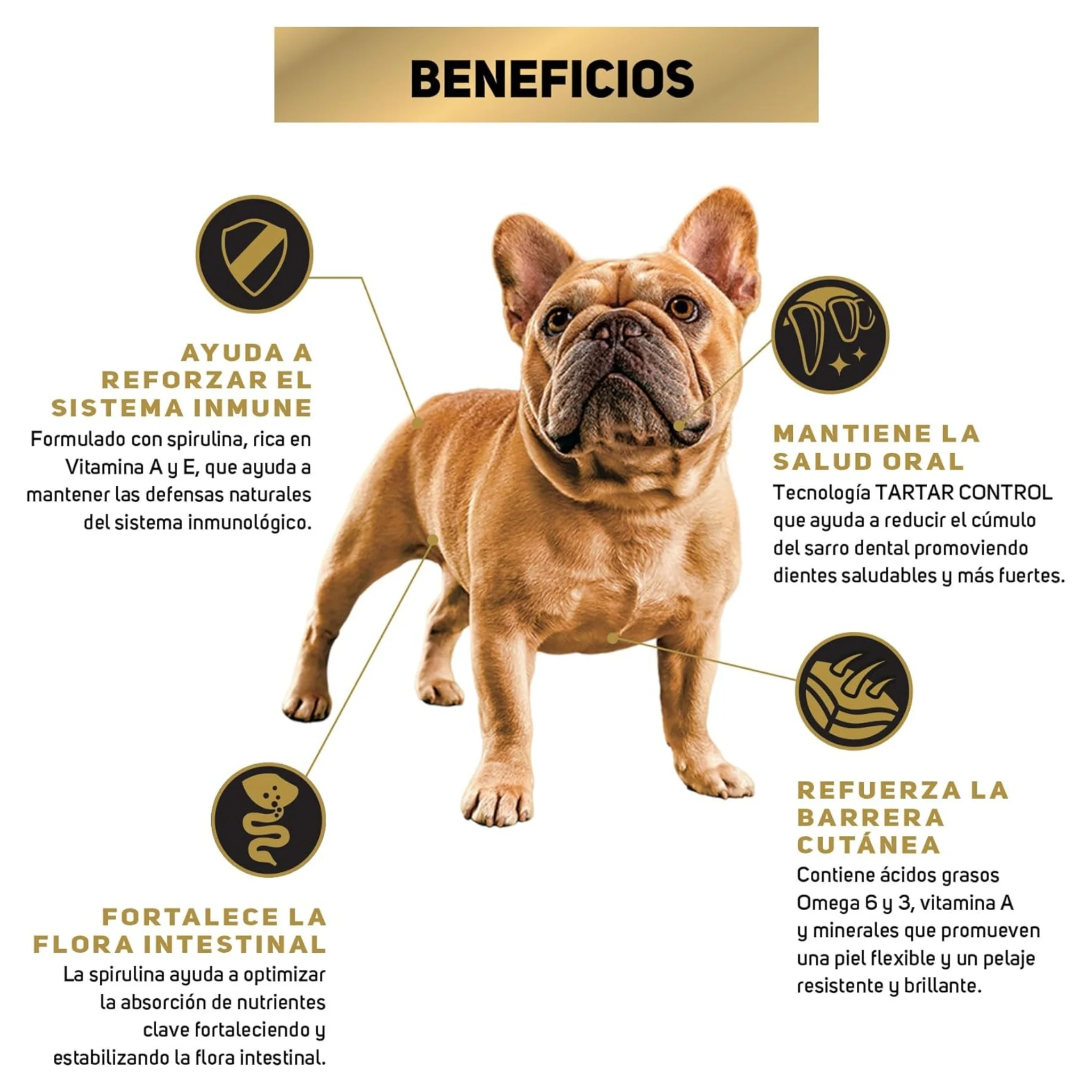 Pro Plan Adulto Razas Pequeñas - Image 3