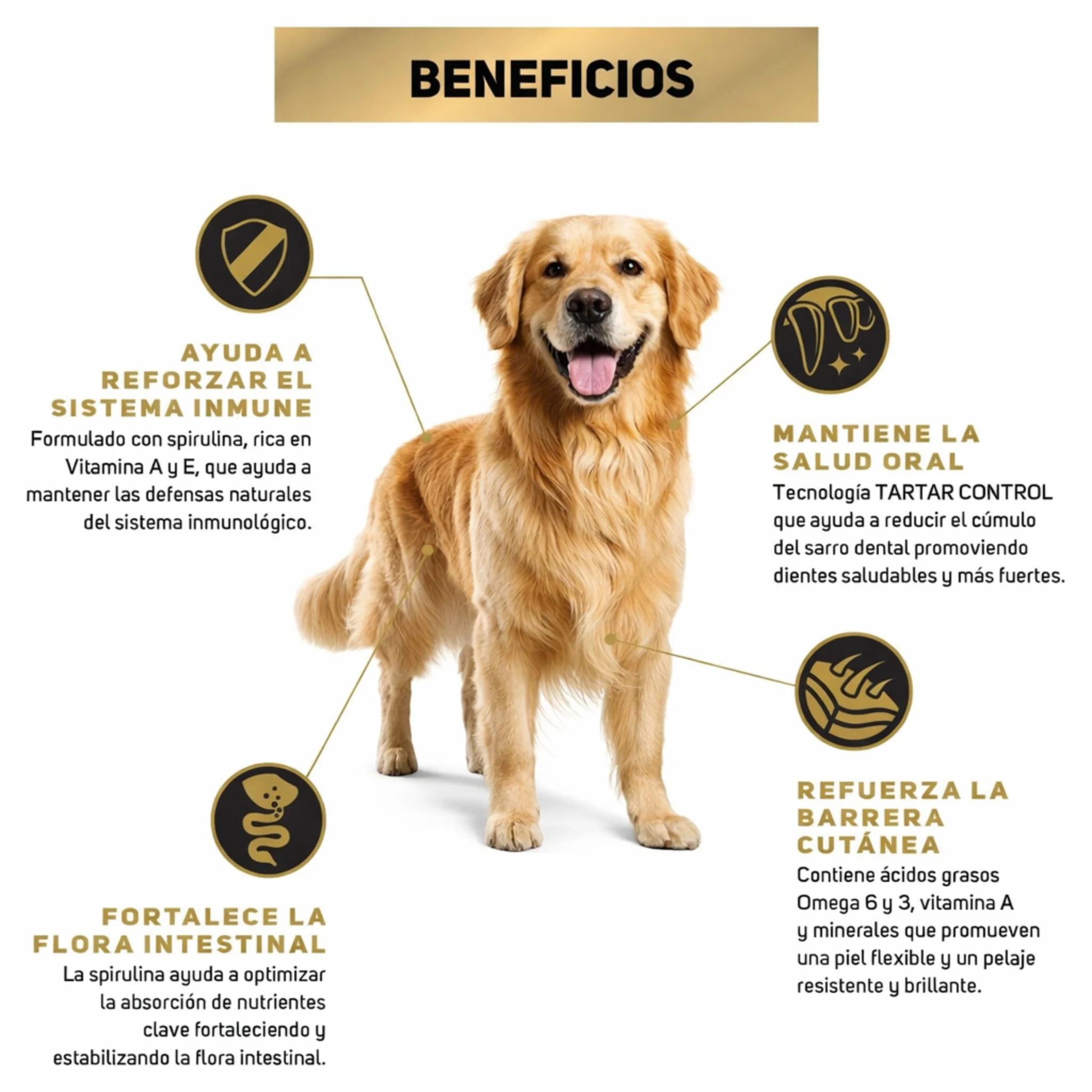 Pro Plan Adultos Perros Razas Medianas 15kg - Image 3