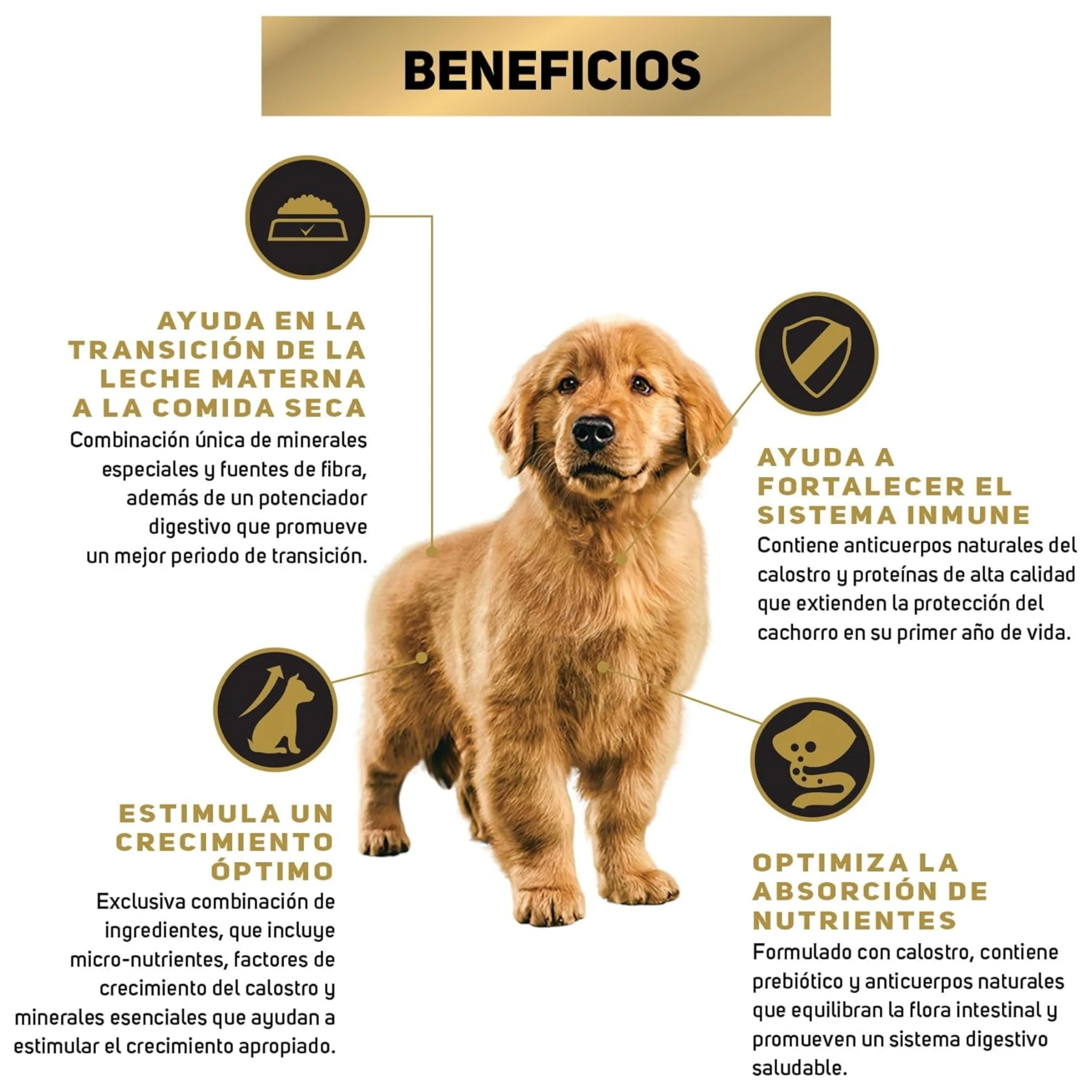 Pro Plan Puppy Razas Medianas - Image 3