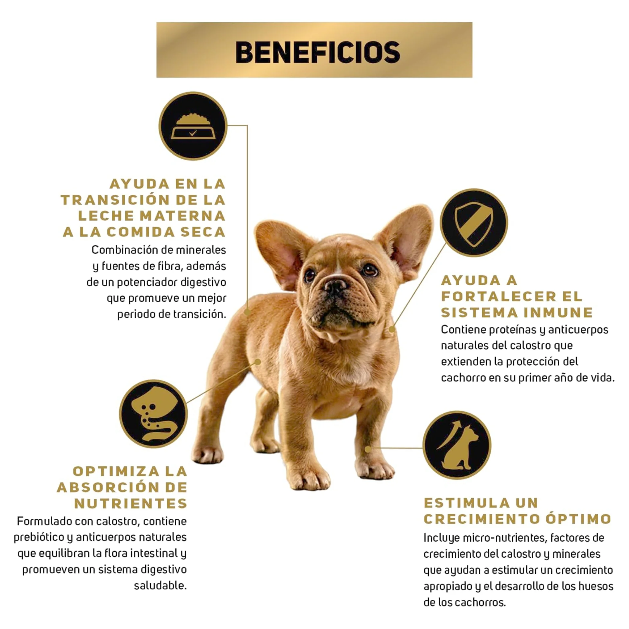 Pro Plan Puppy Razas Pequeñas y Miniaturas 3kg - Image 3