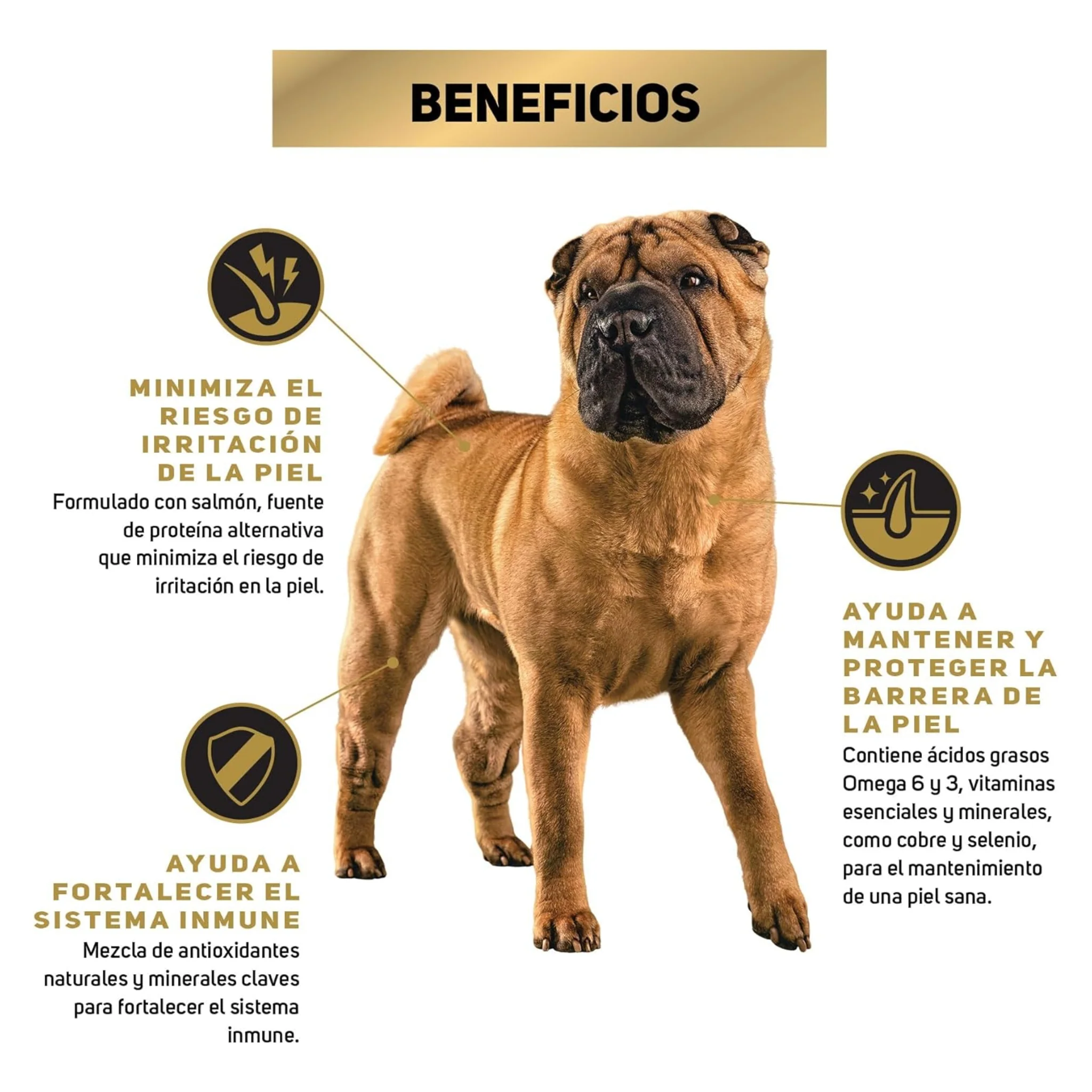 Pro Plan Senstive Skin Razas Medianas y Grandes - Image 3