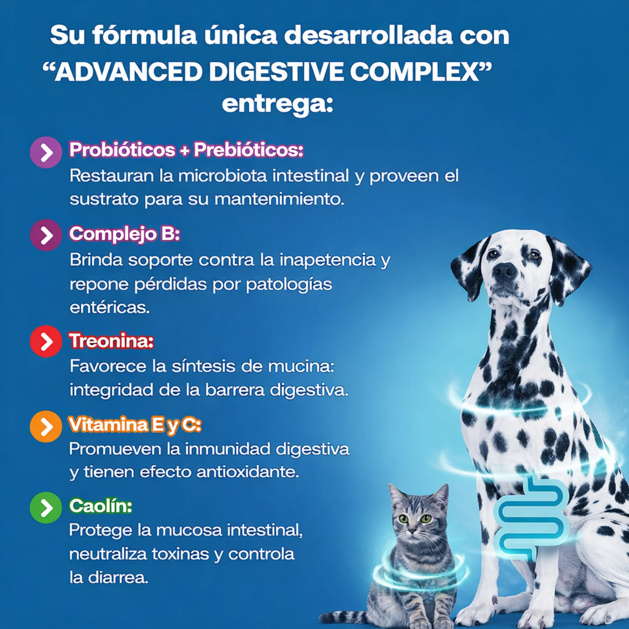 ProBio 15ml – Probiótico Digestivo para Perros y Gatos - Image 3